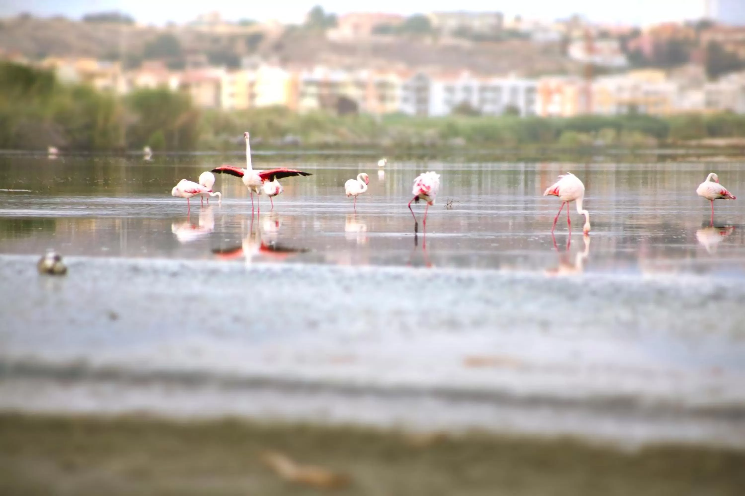 Natural landscape in Hotel Villa Fanny