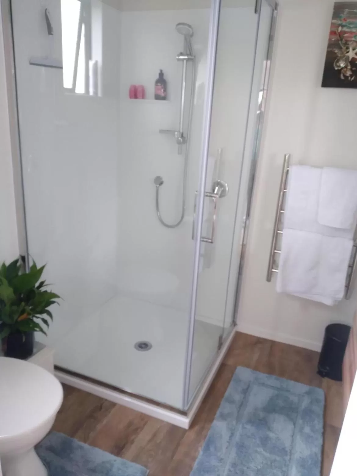 Bathroom in Carters Beach Bed and Breakfast