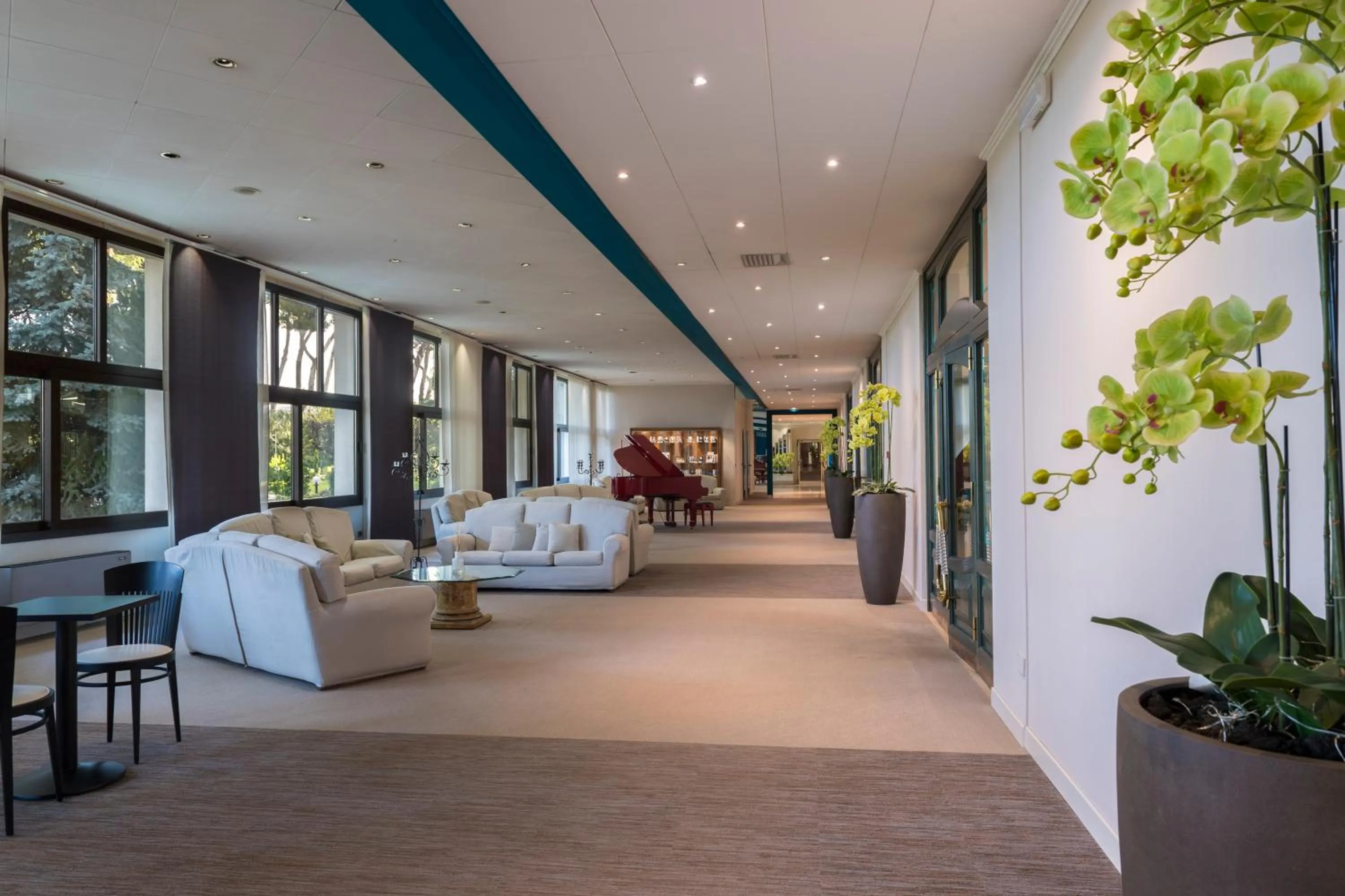 Lounge or bar in Hotel Salus Terme - Adults Only