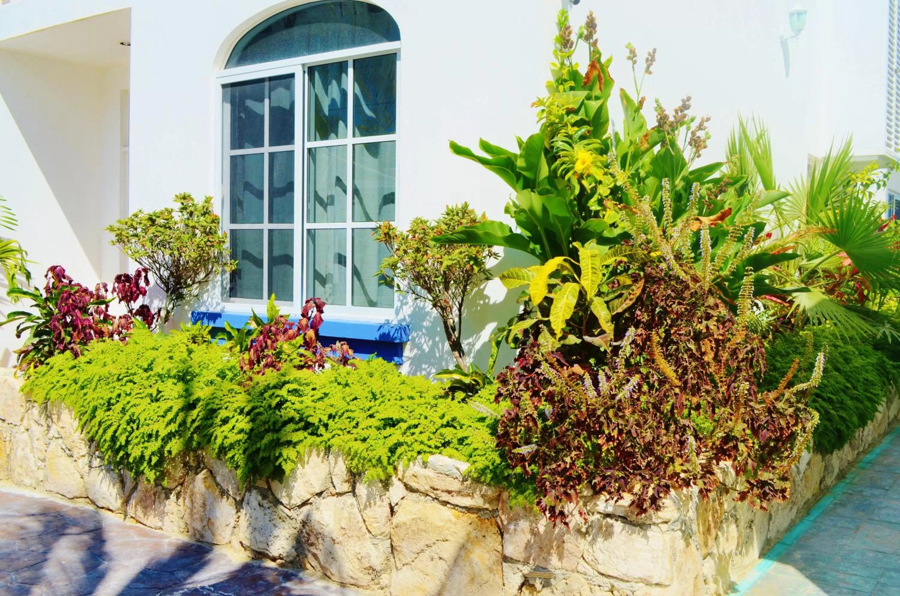 Day in Corales Suites