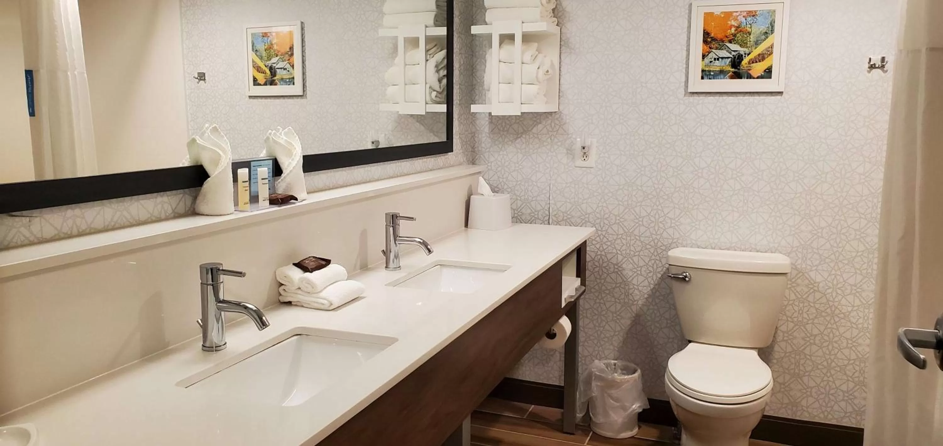 Bathroom in Hampton Inn - Hillsville