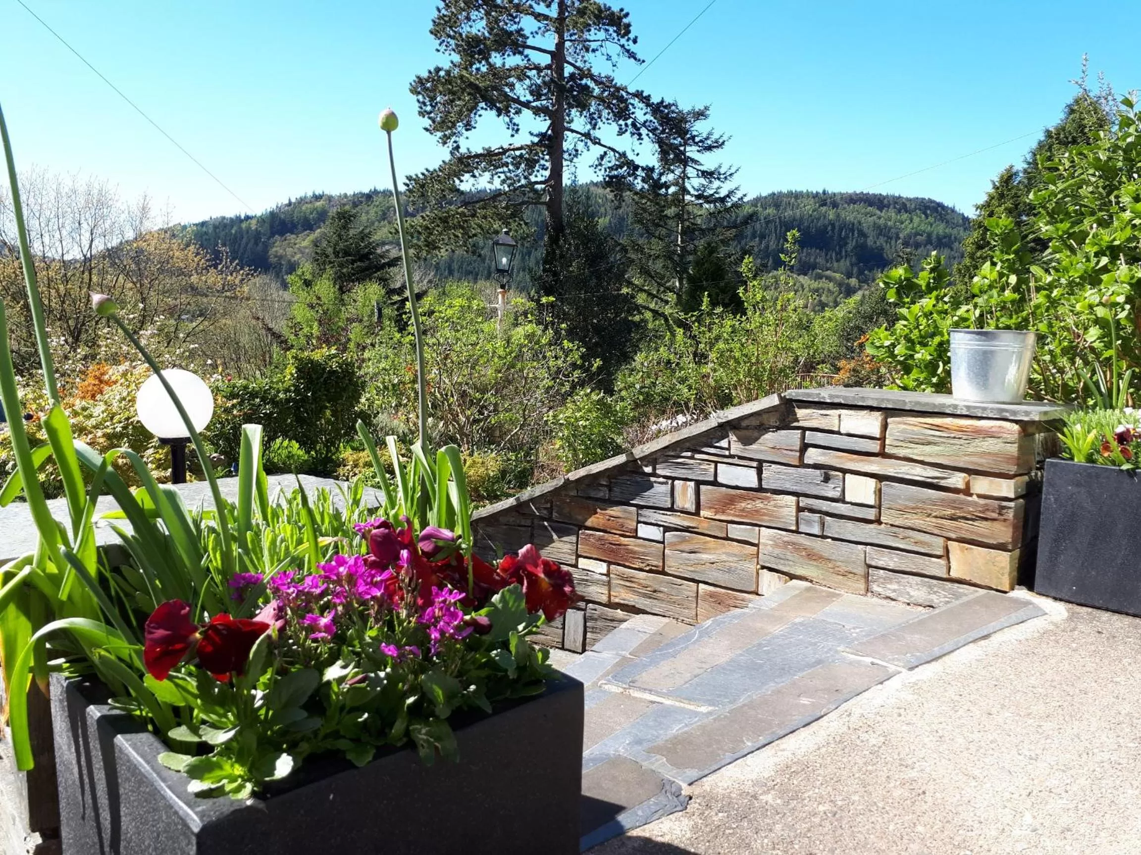 Facade/entrance in Aberconwy House B&B