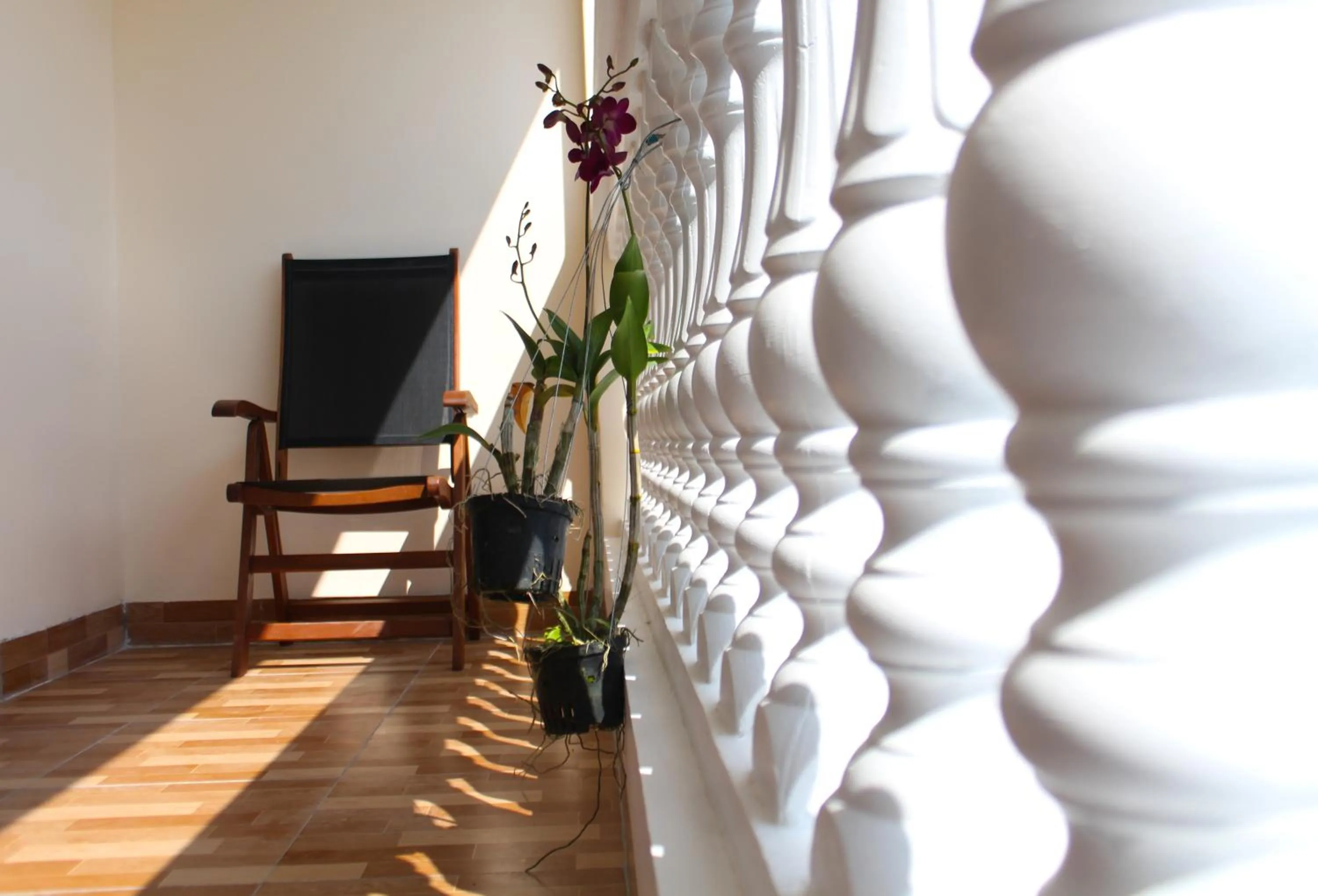Balcony/Terrace in Phuong Binh House