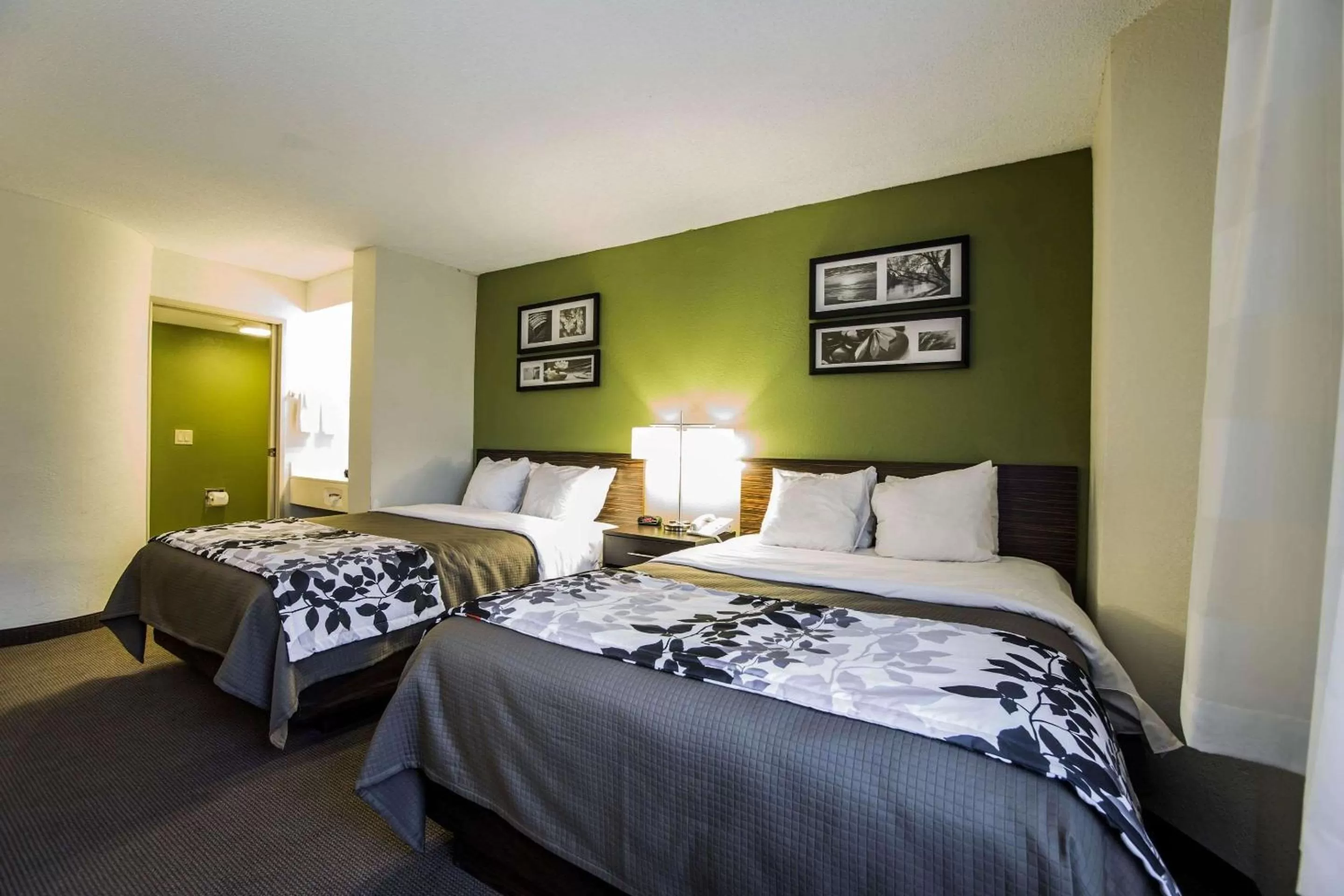 Photo of the whole room, Bed in Sleep Inn Columbia Airport