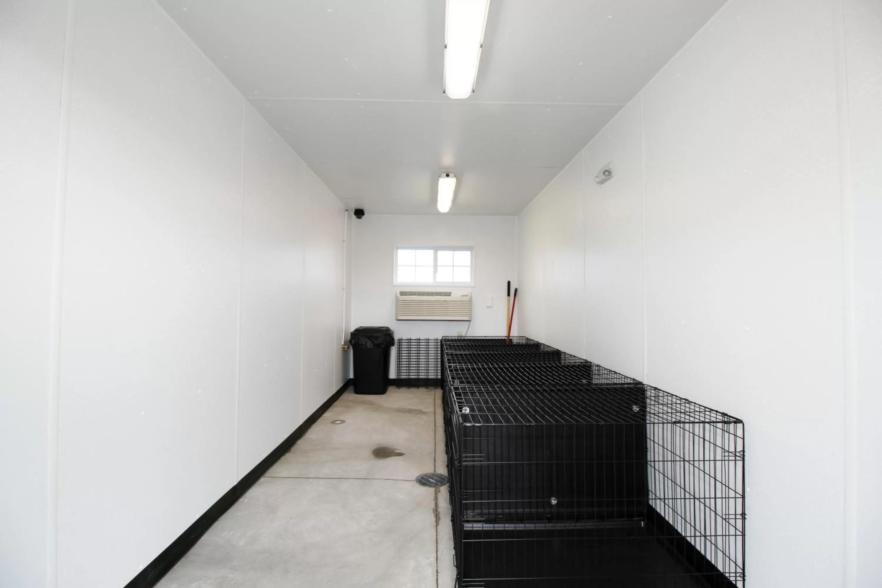 Pets in Cobblestone Hotel & Suites - Devils Lake