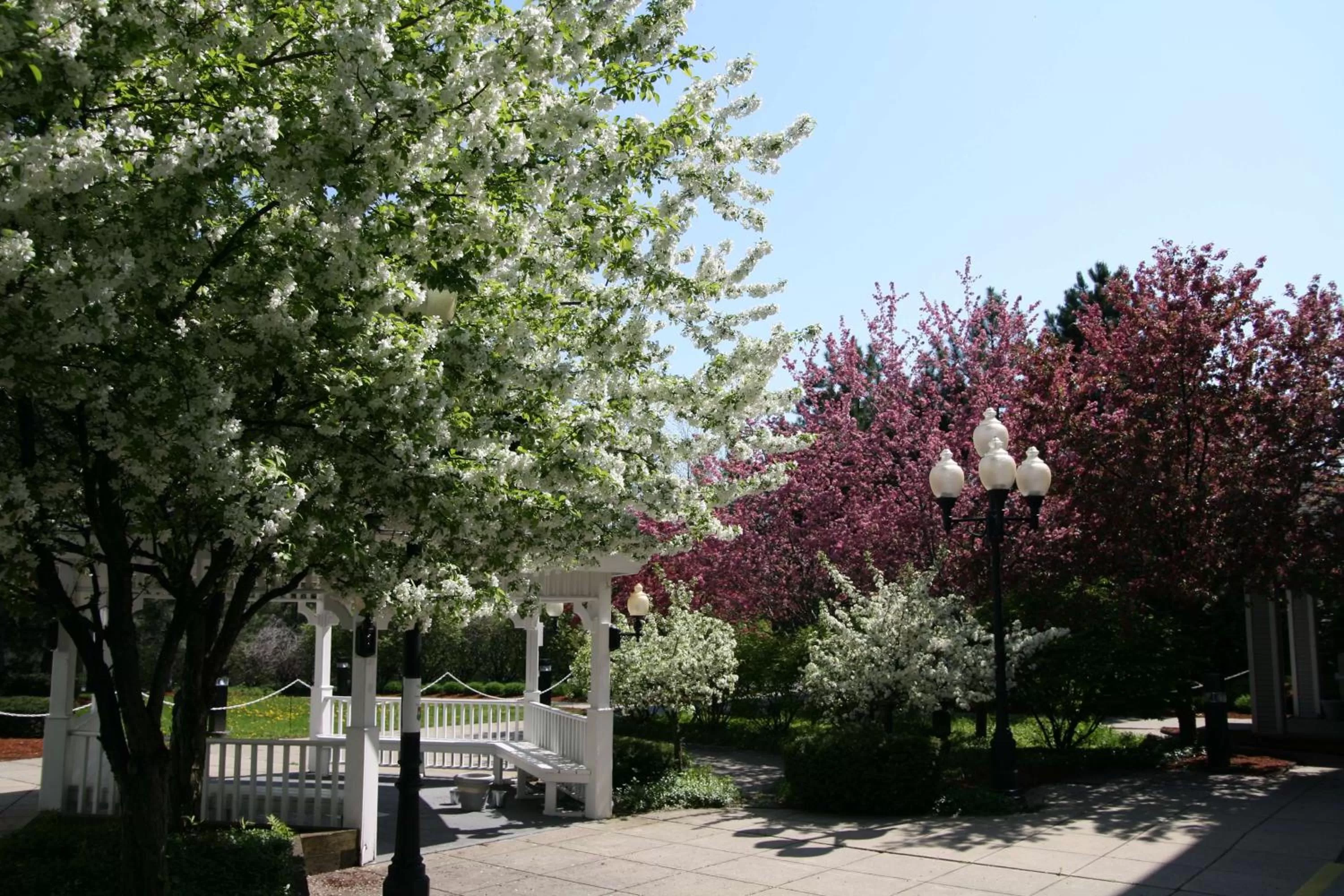 Property building in Hampton Inn Burlington - Colchester