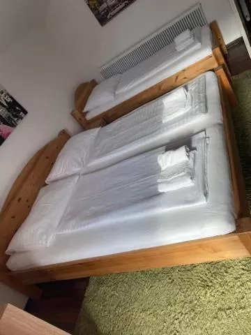 Photo of the whole room in Hotel Wildschütz Basic