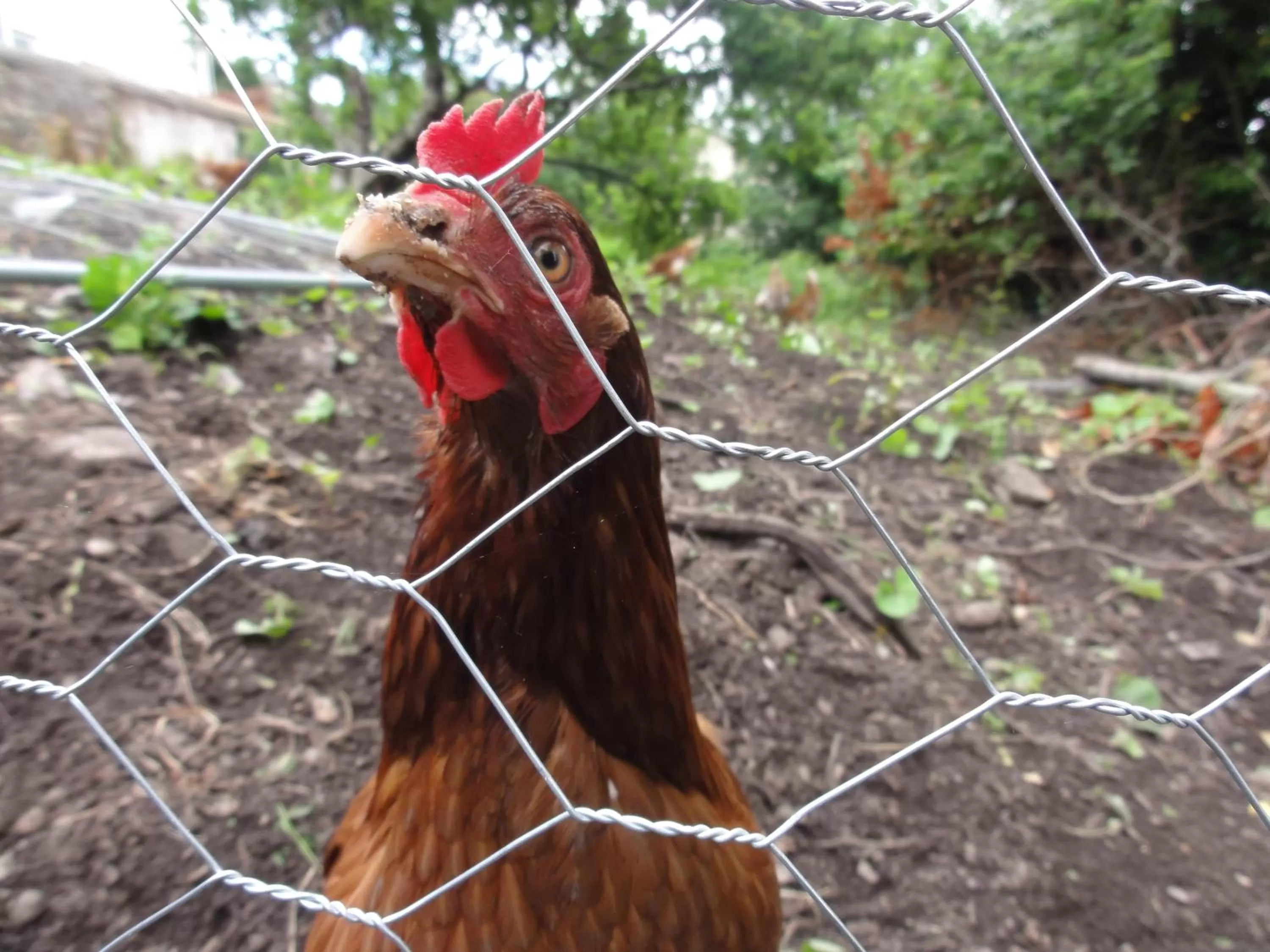 Other in Gabriel House Guesthouse