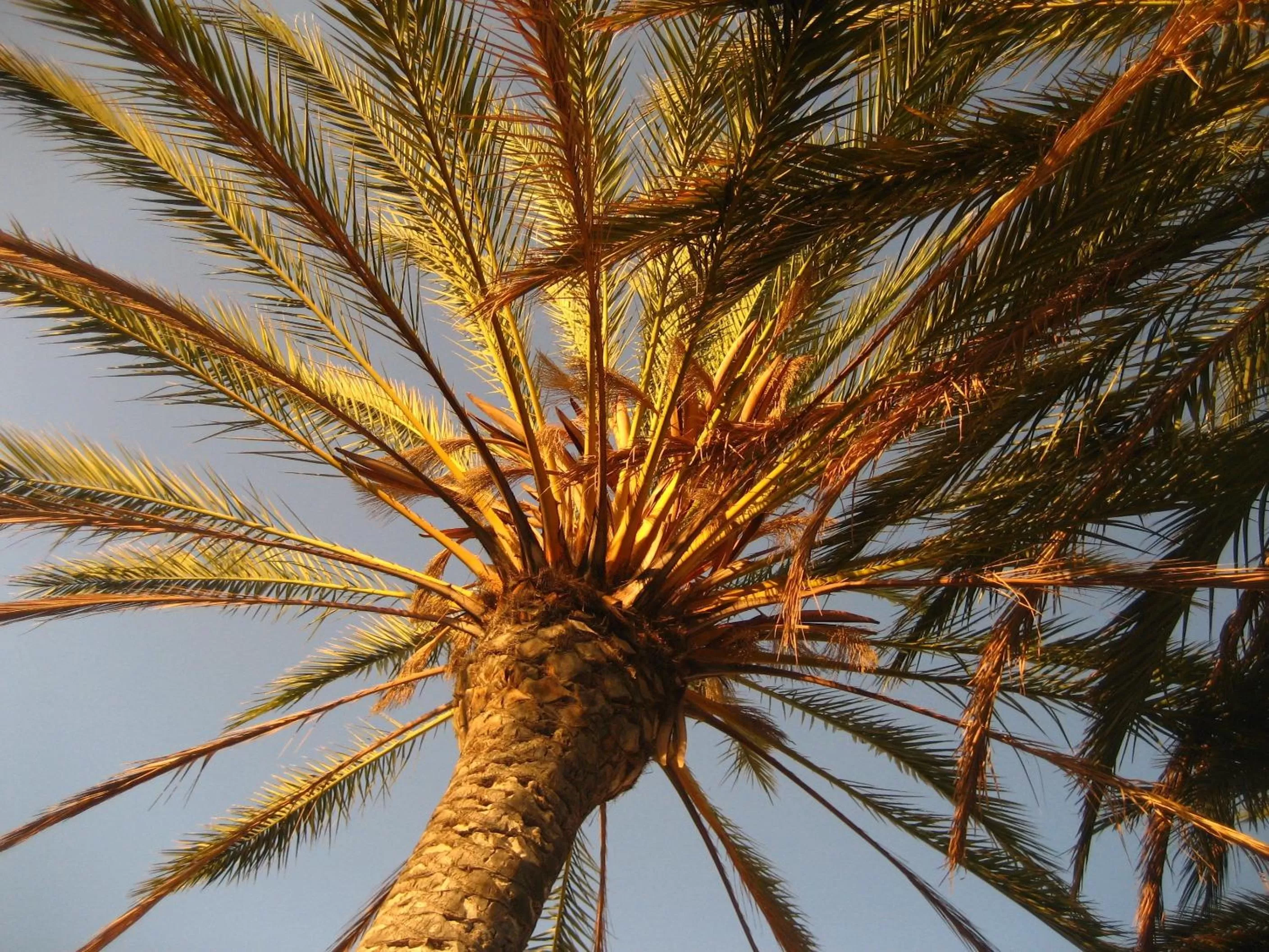 Birdcage Gay Men Resort and Lifestyle Hotel