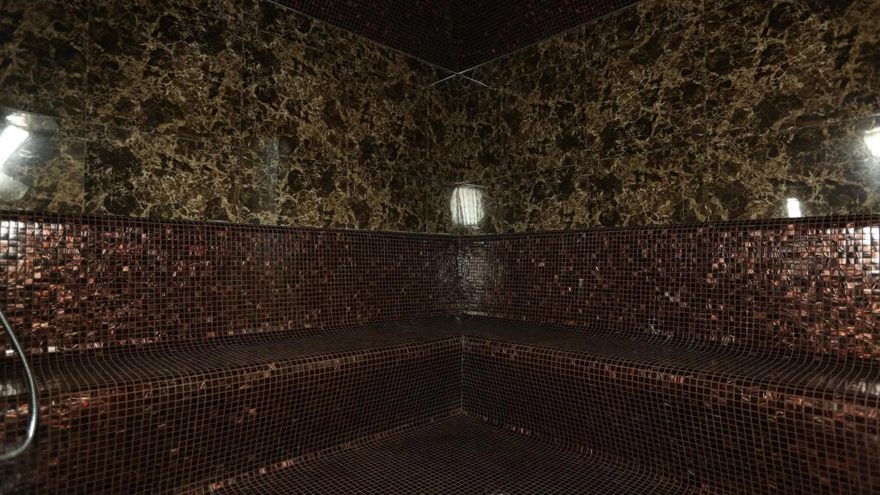 Steam room in Avan Plaza Hotel