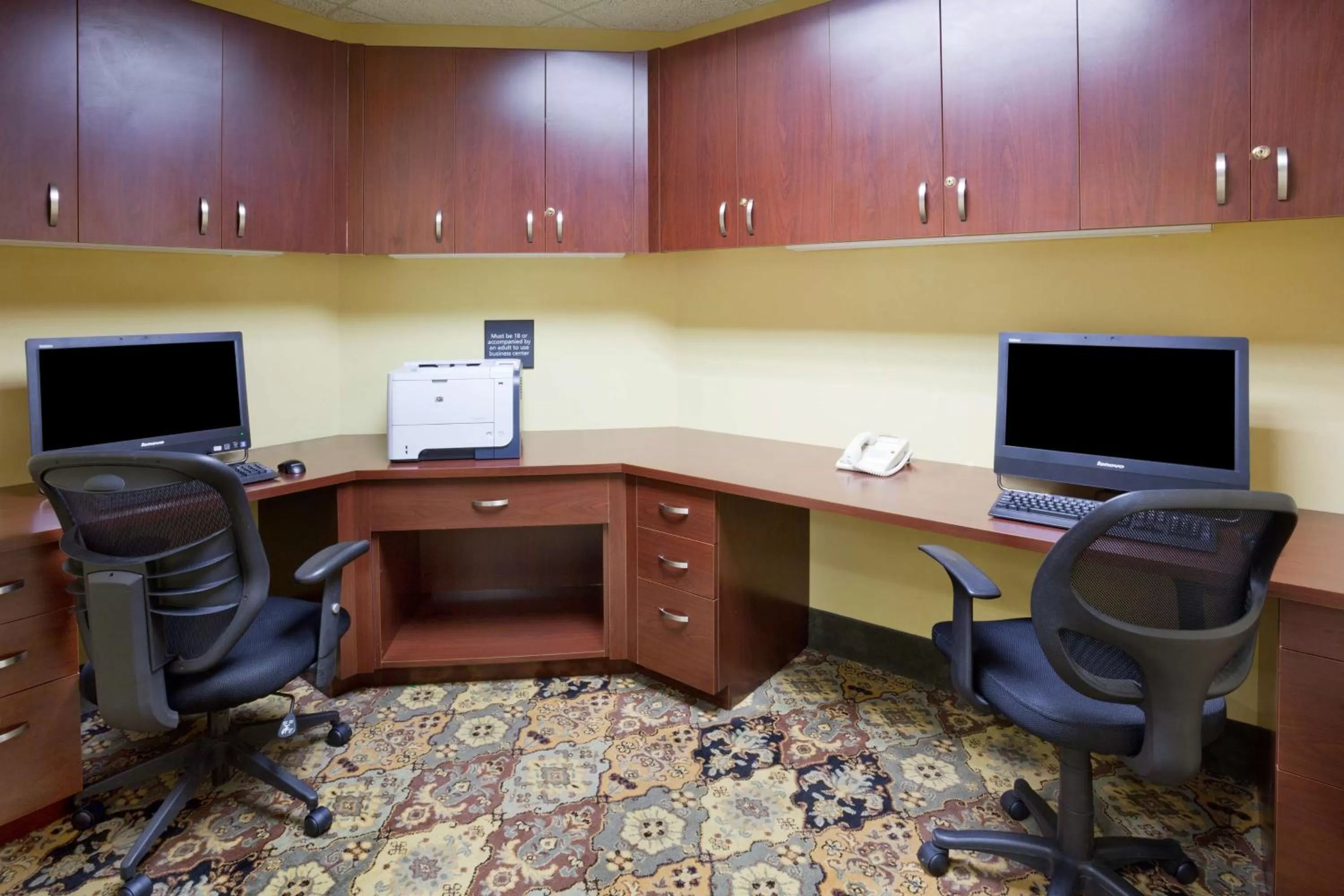 Business facilities in Hampton Inn & Suites Lino Lakes