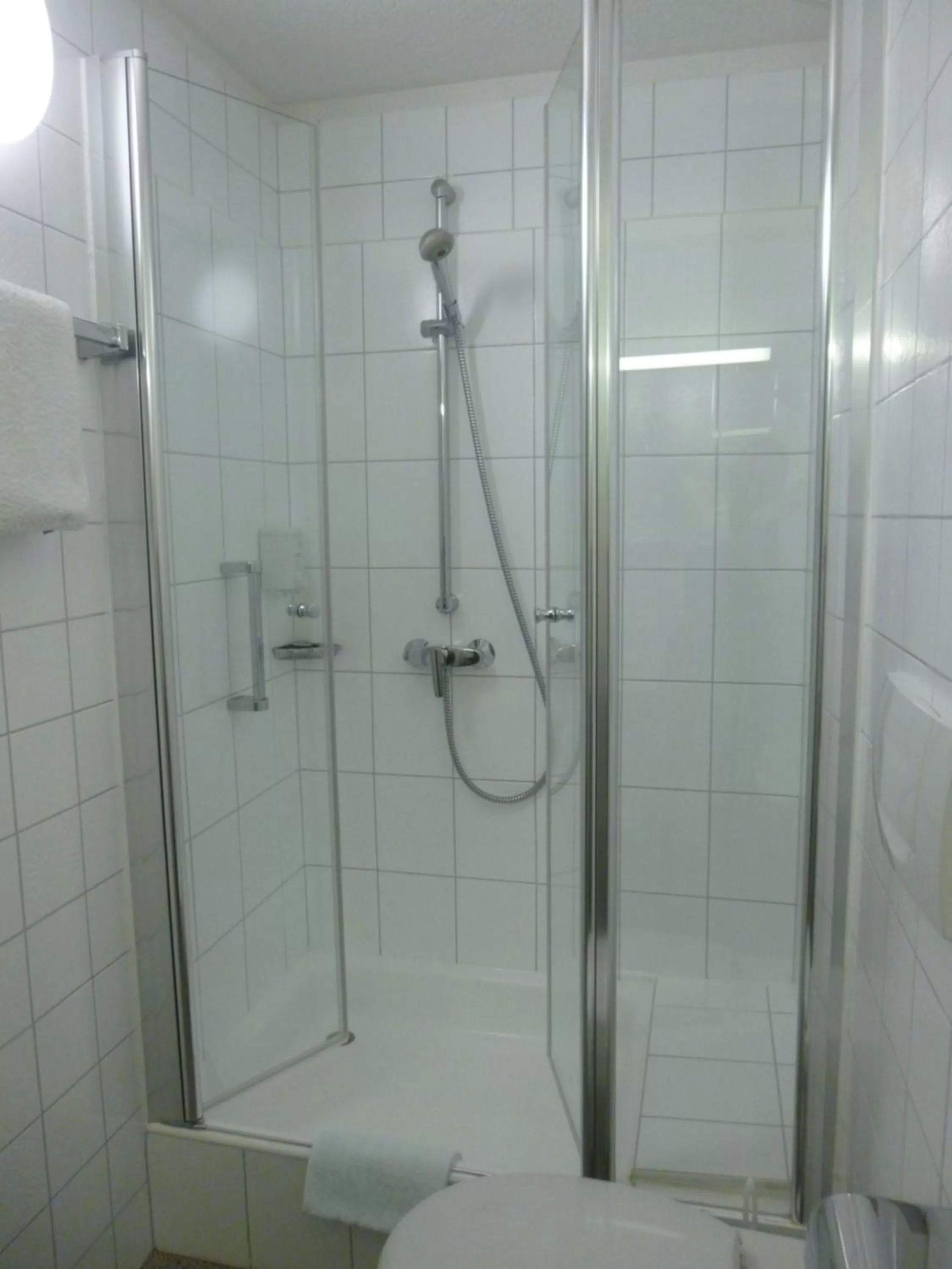 Decorative detail, Bathroom in Hotel Schwarzwald-Gasthof Rößle