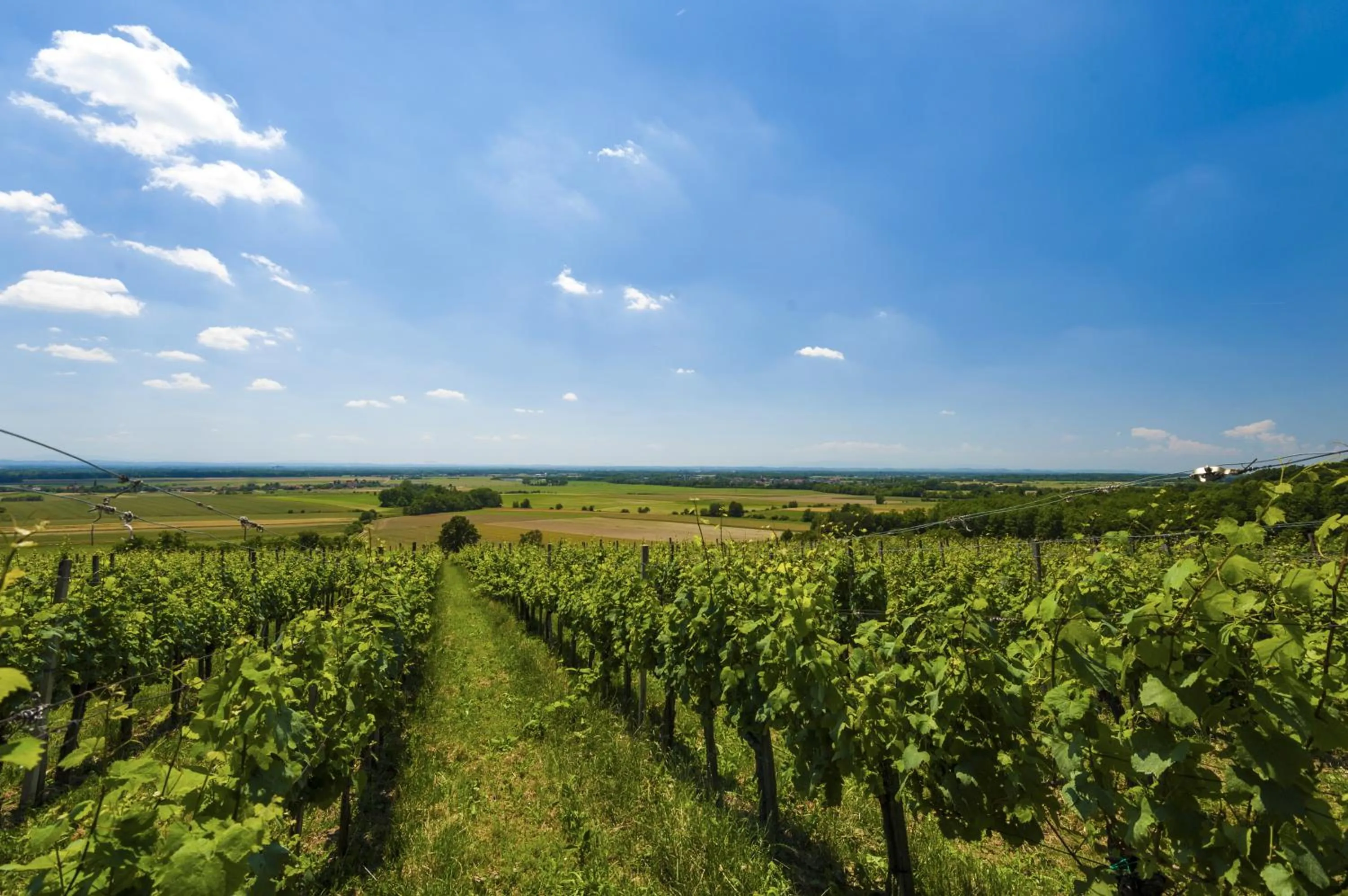 Other in Hotel Termal - Terme 3000 - Sava Hotels & Resorts