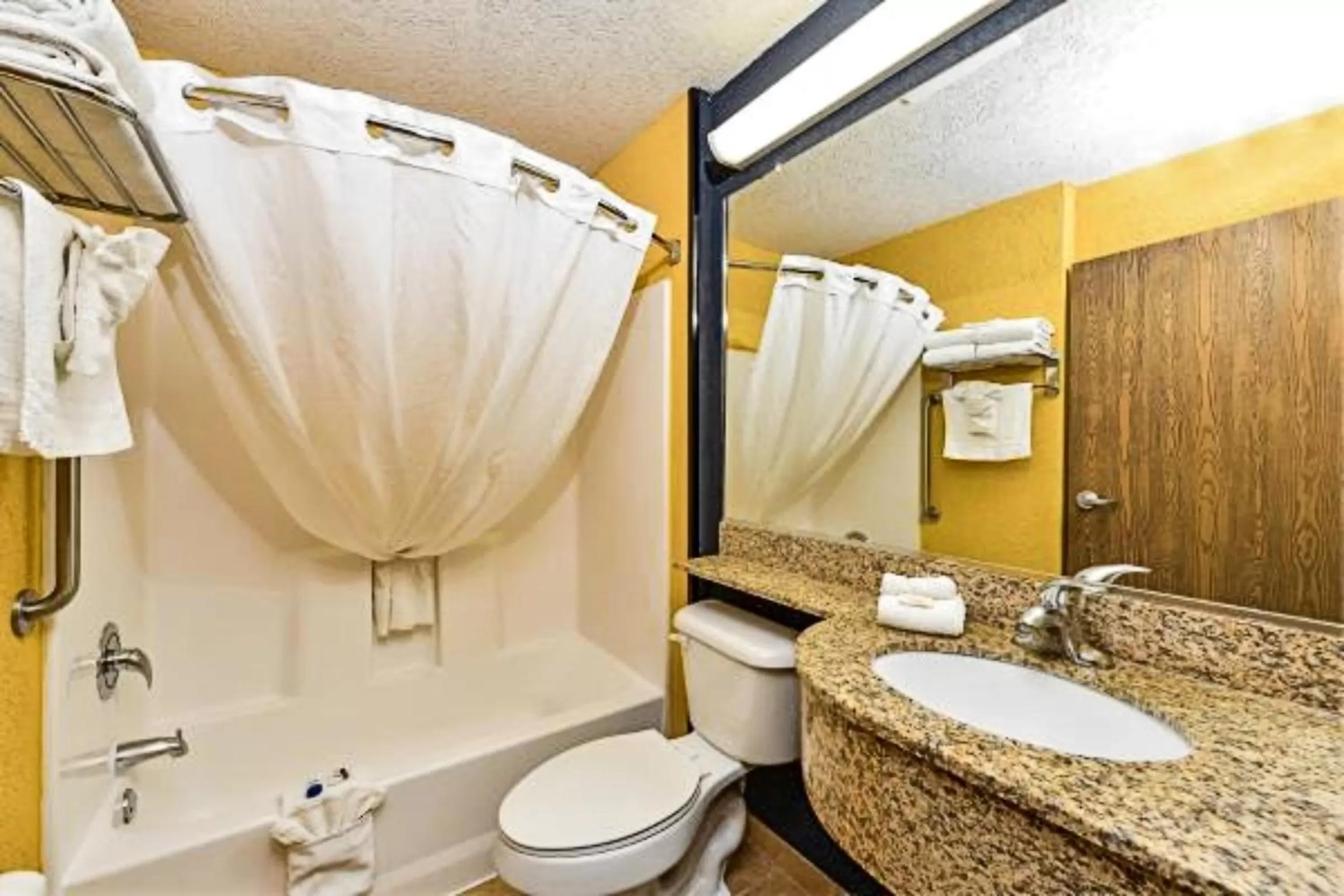 Toilet in Microtel Inn & Suites by Wyndham New Braunfels I-35