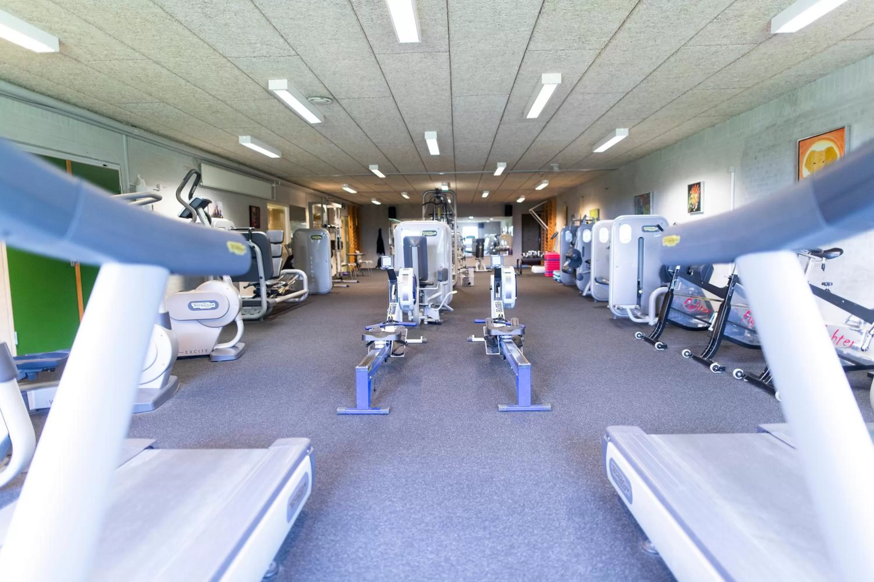 Fitness centre/facilities, Fitness Center/Facilities in Hotel Nordborg Sø