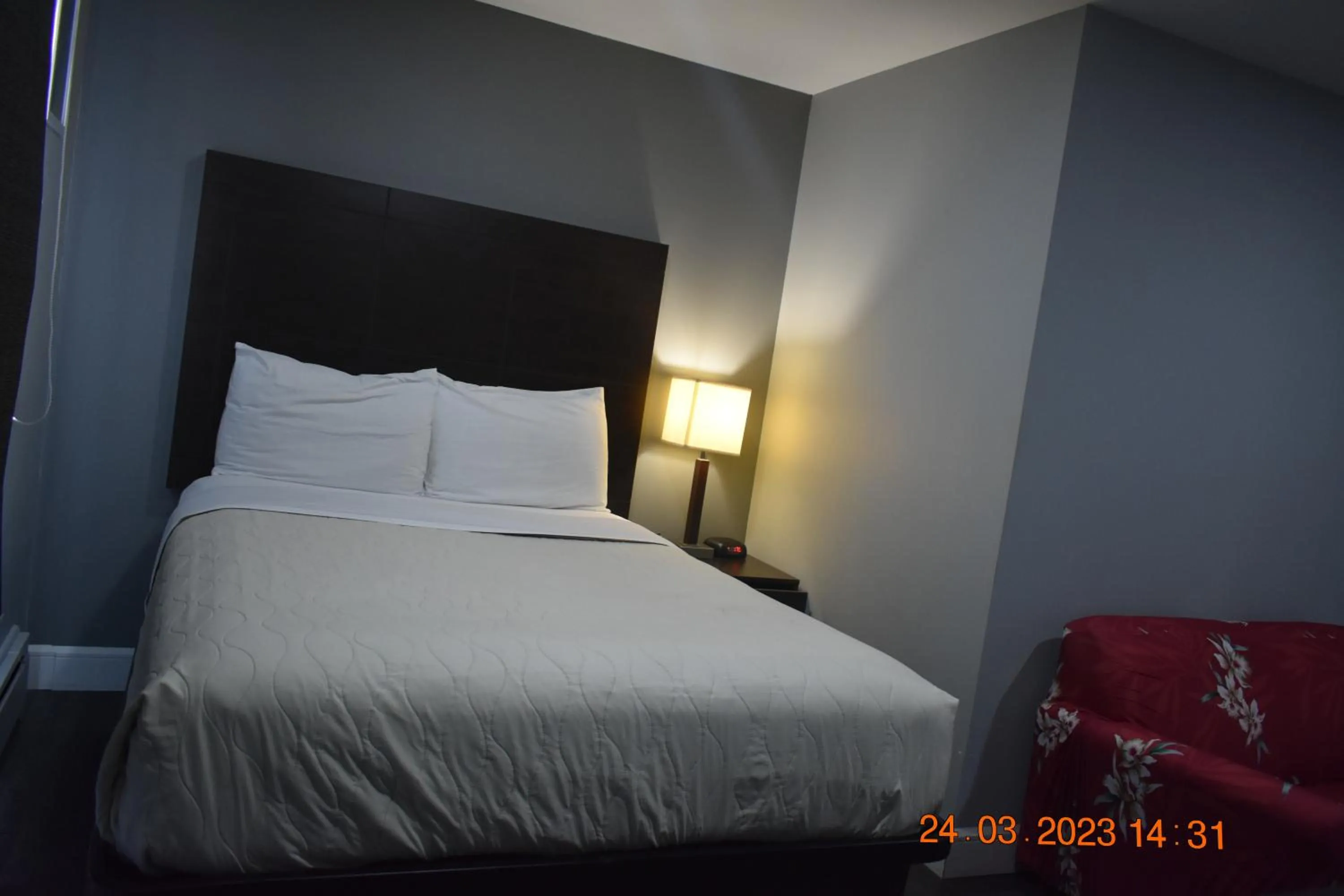 Bed in Time Travellers Motel