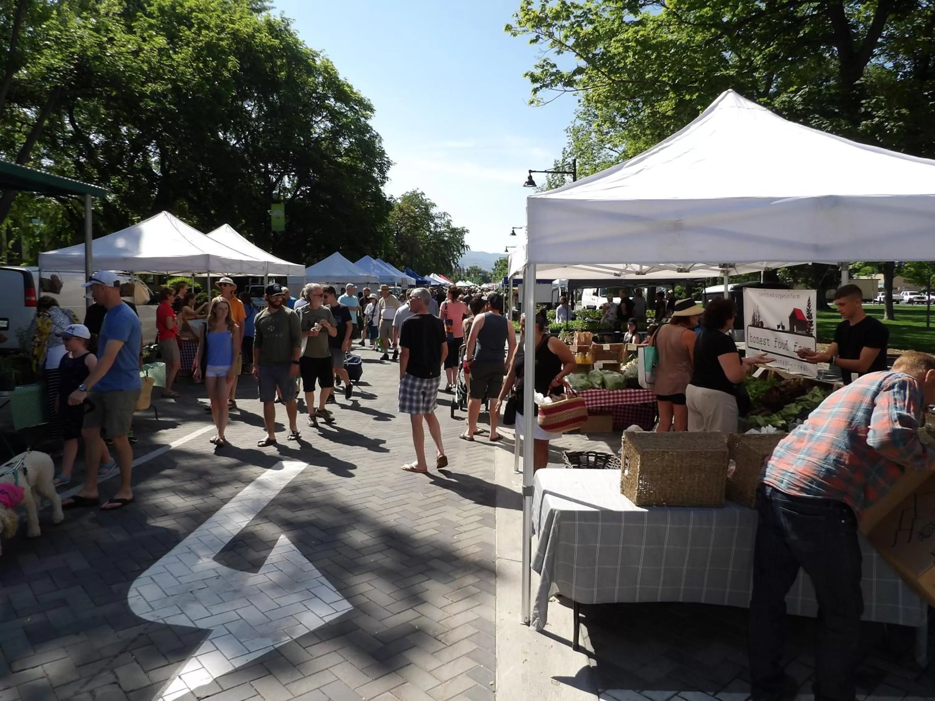 People in Okanagan Lakefront Resort
