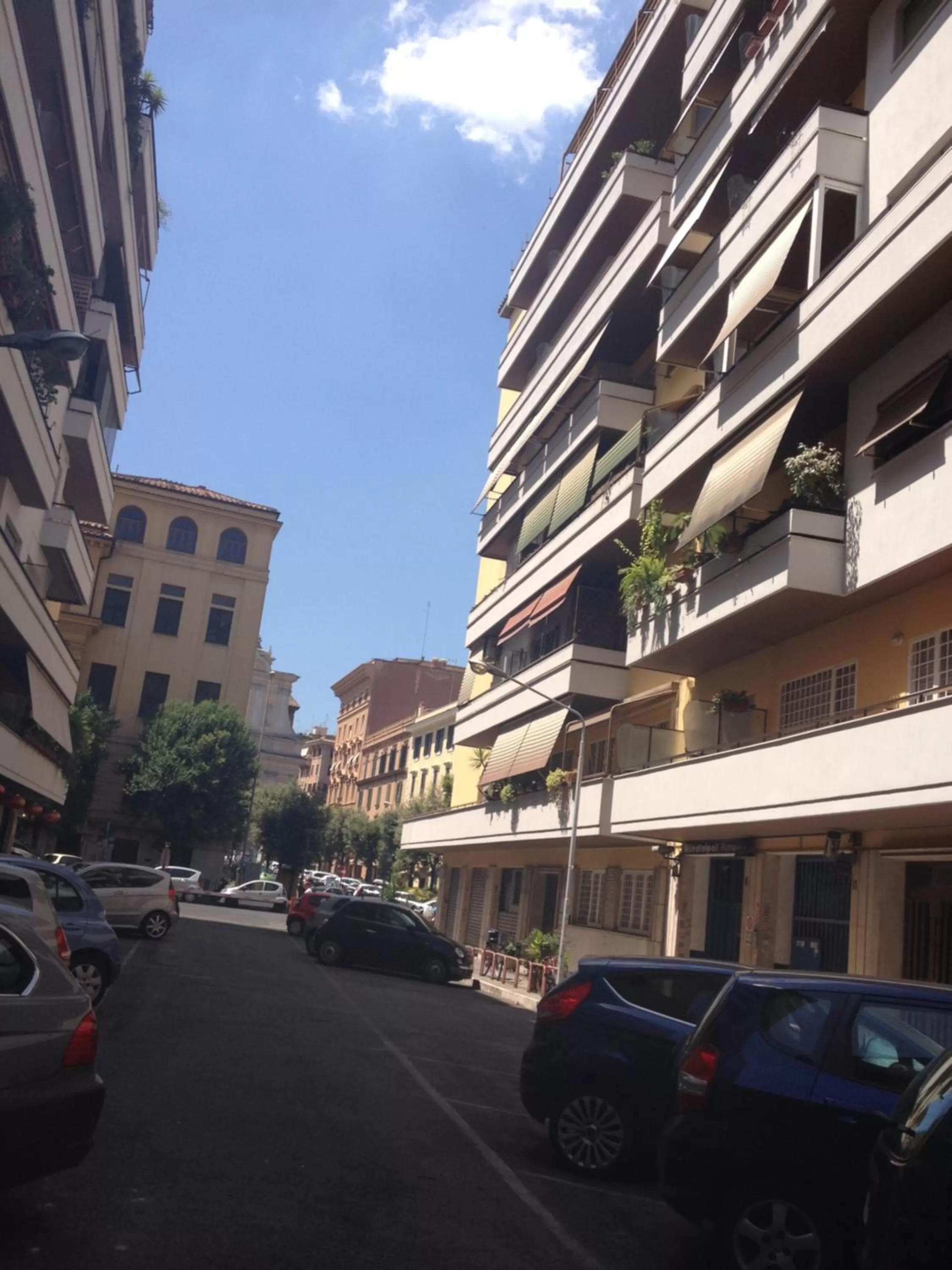 Day in Vatican Golden Rooms