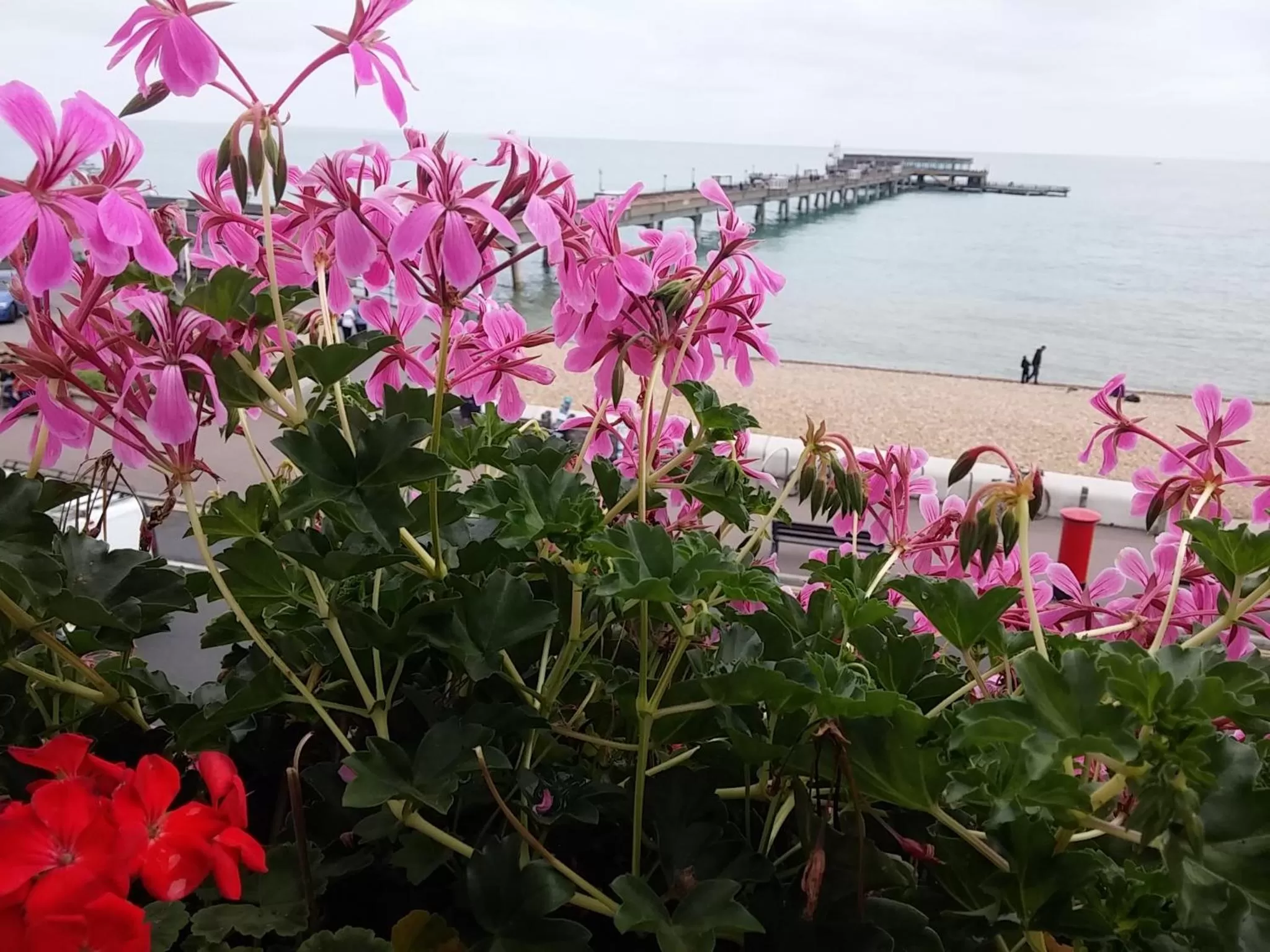 Sea view in Waterfront Hotel