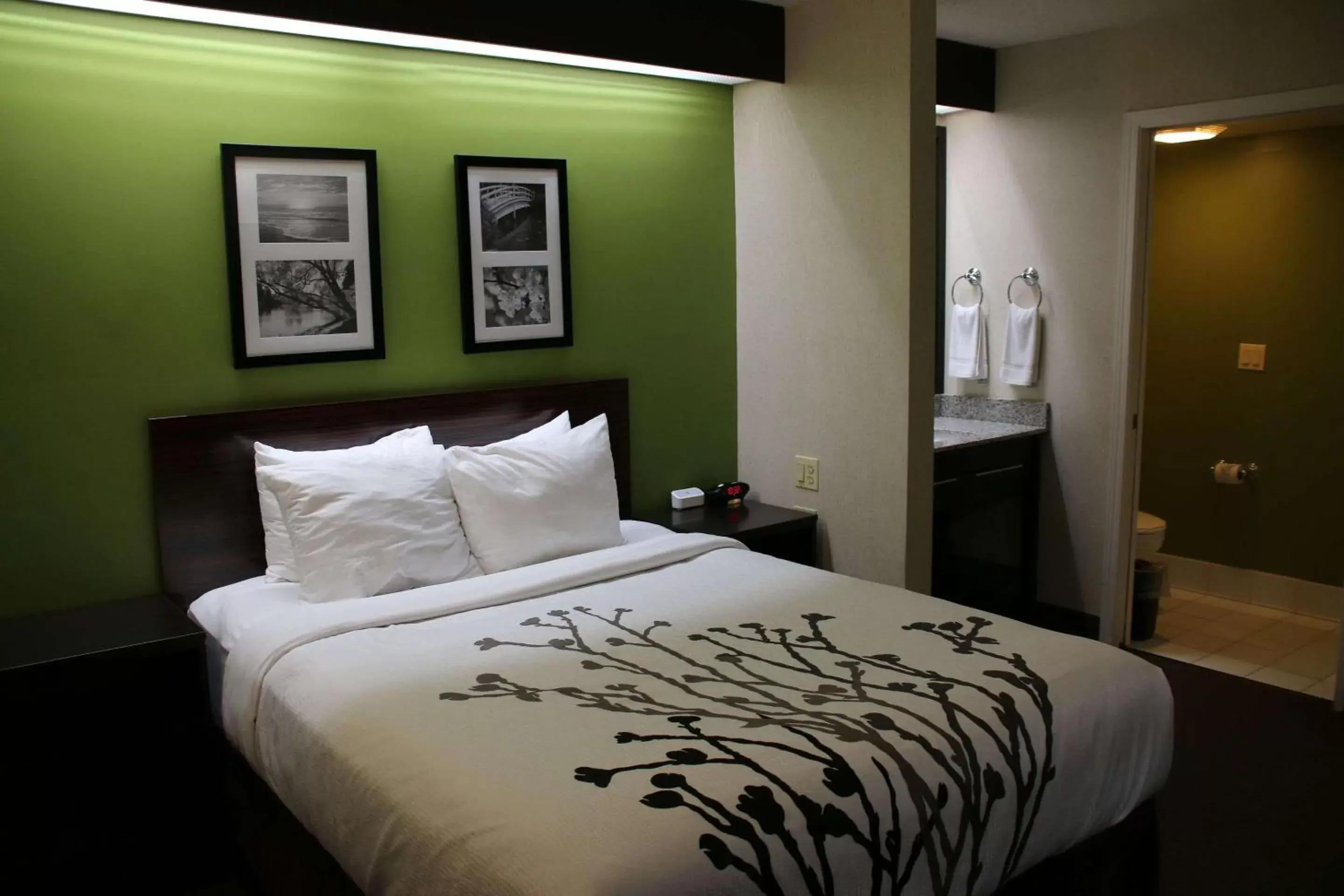 Queen Room - Non-Smoking in Sleep Inn near Great Lakes Naval Base Queen Room - Non-Smoking in Sleep Inn near Great Lakes Naval Base