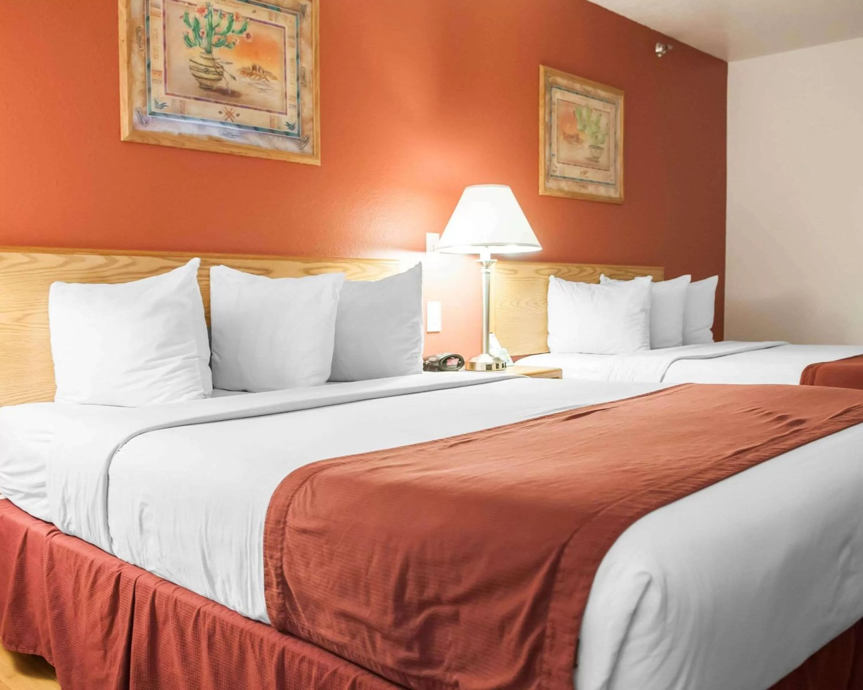 Photo of the whole room, Bed in Econo Lodge Albuquerque Old Town