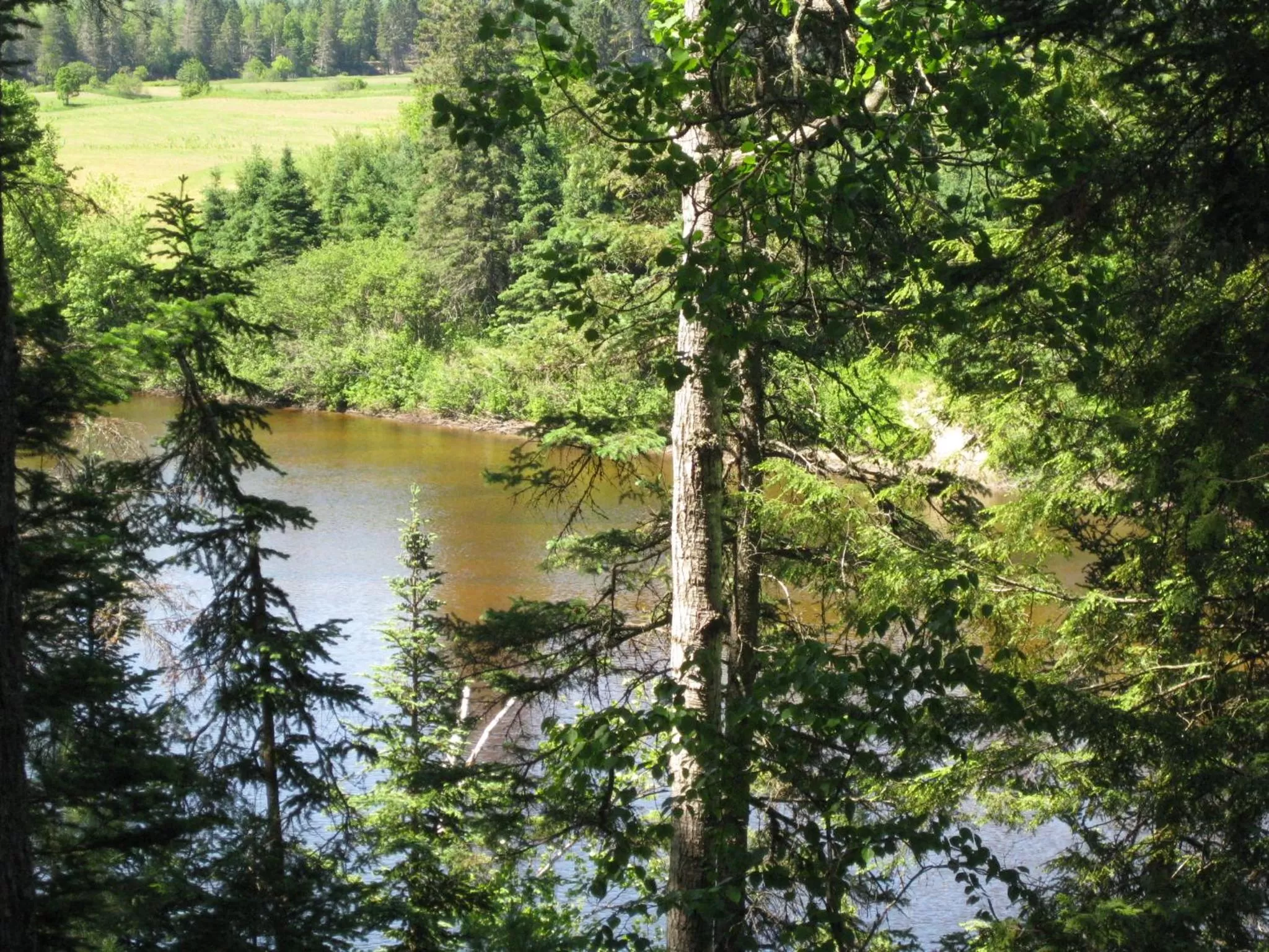 Auberge le Cosy Tremblant