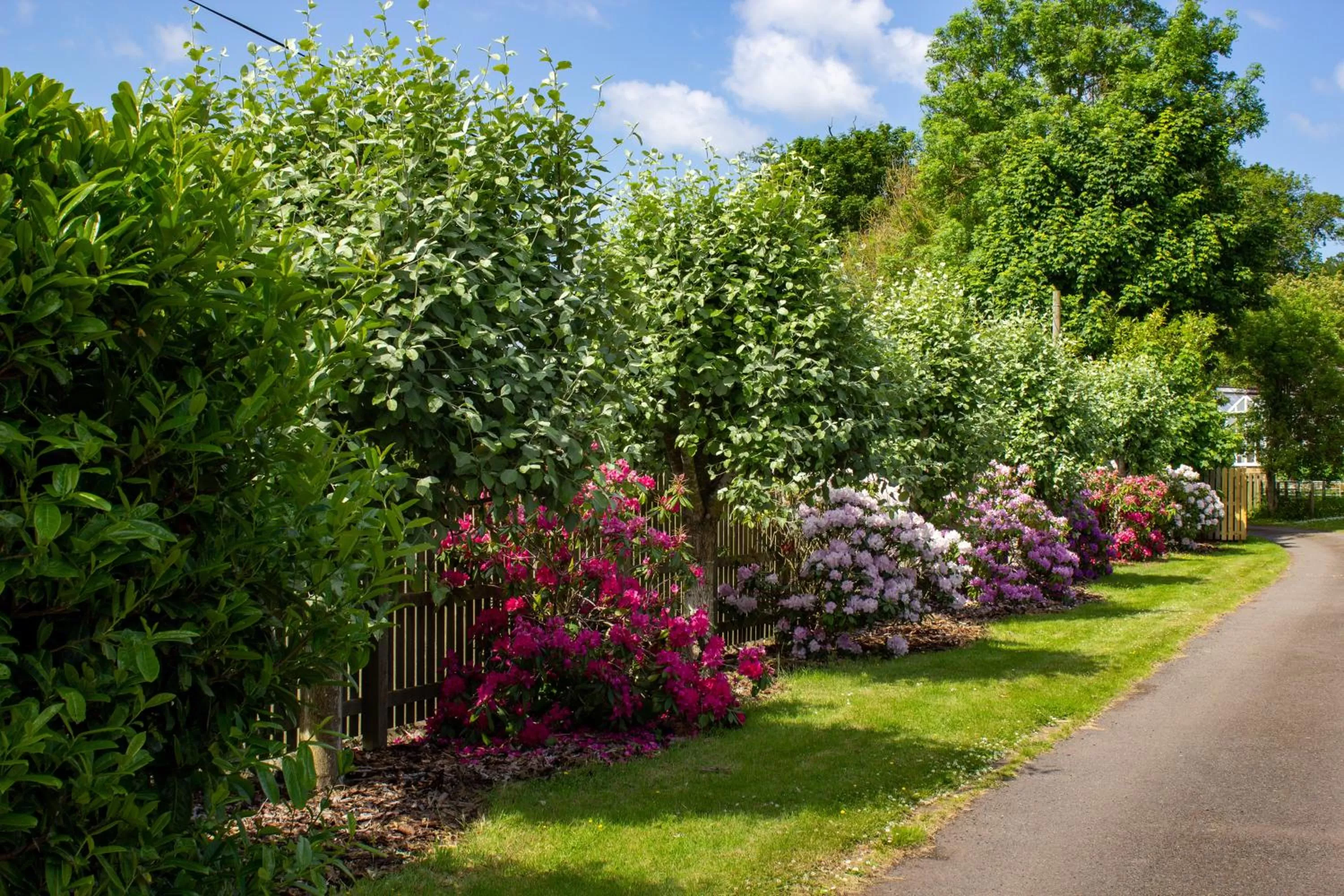 Garden in Home Farm B&B - Poppy Room
