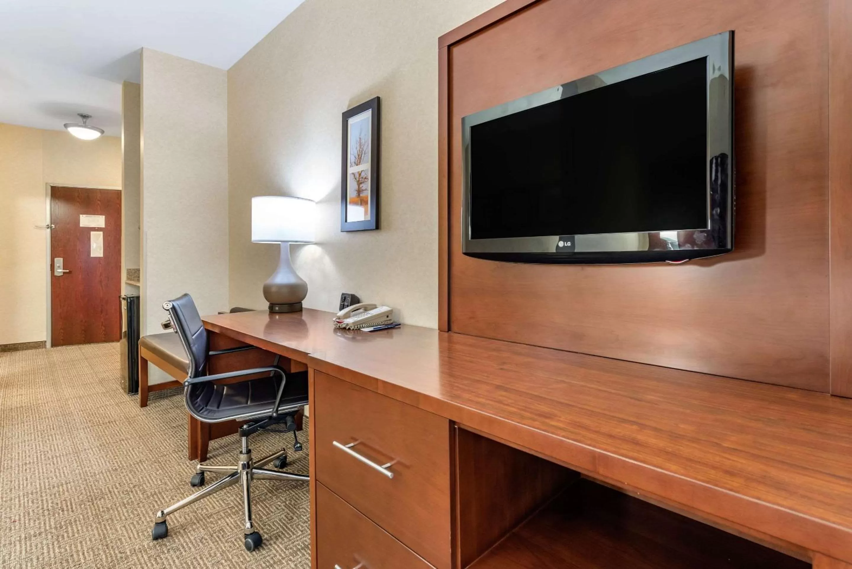 TV and multimedia in Comfort Suites Elkhart South