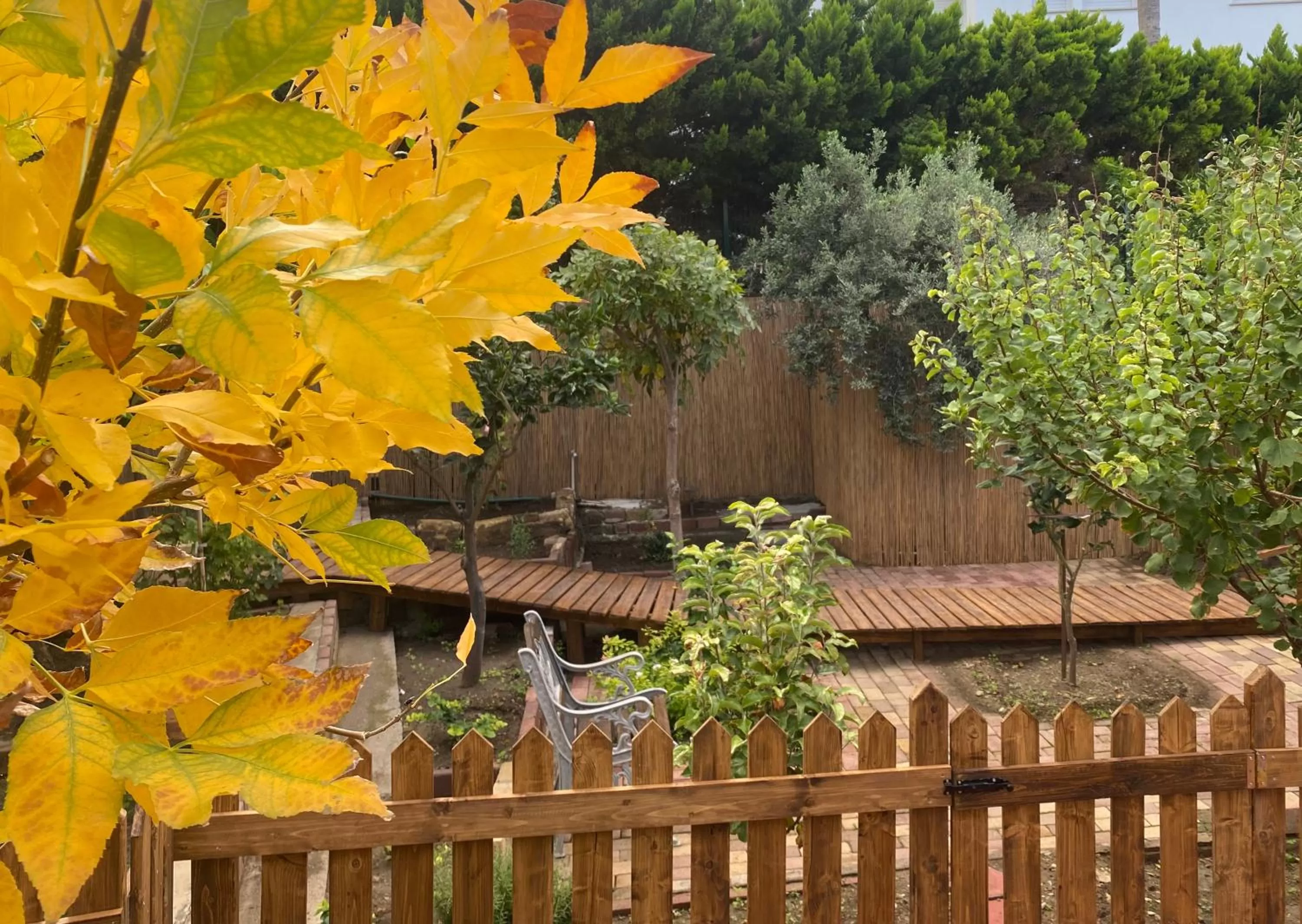 Garden in Sunside Inn Hotel