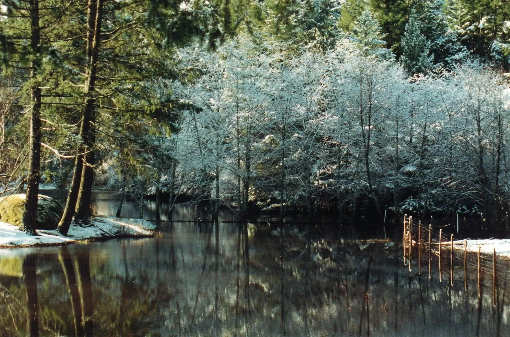 Misty Meadows B and B