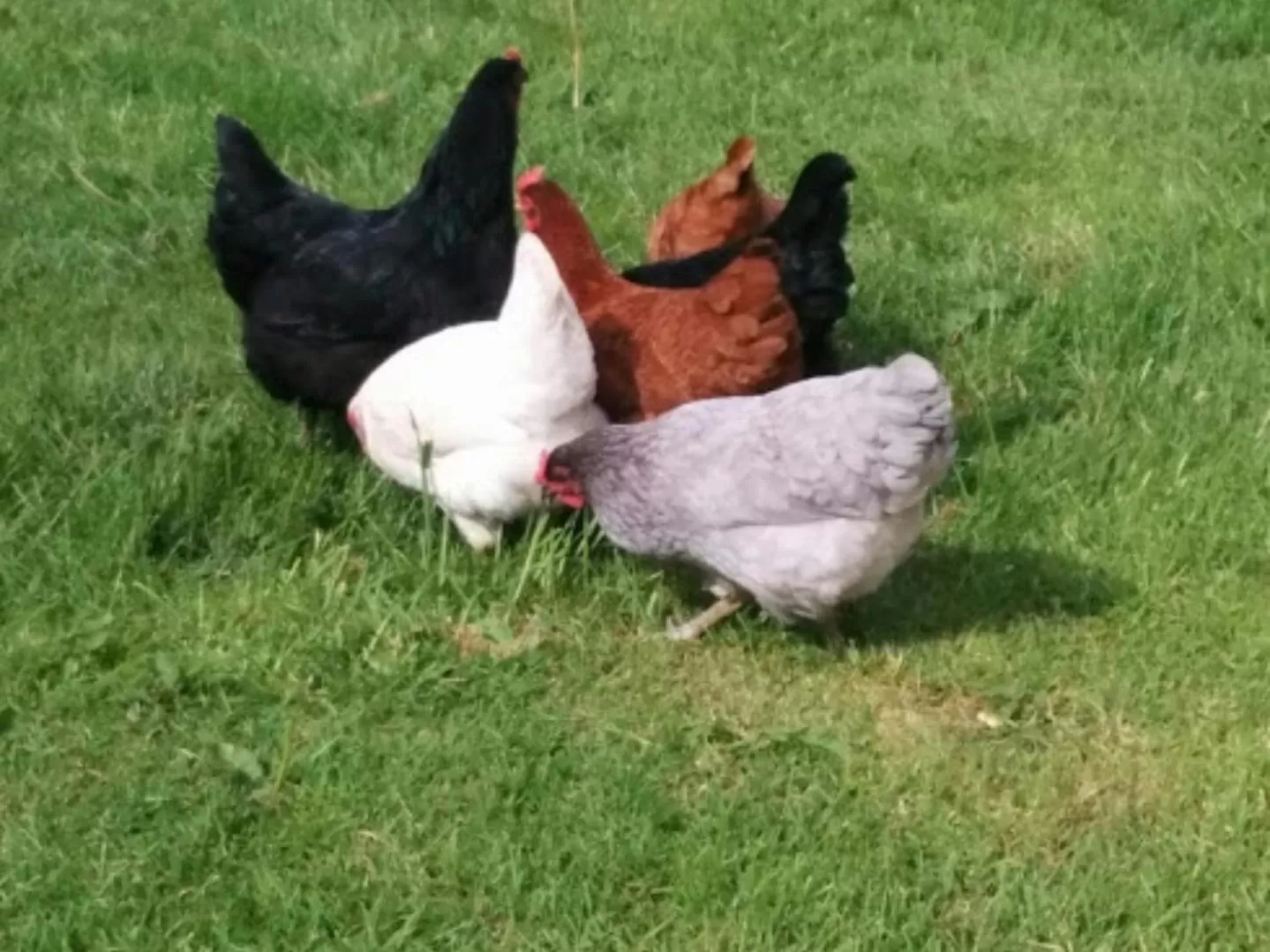 Other in Manorview B&B