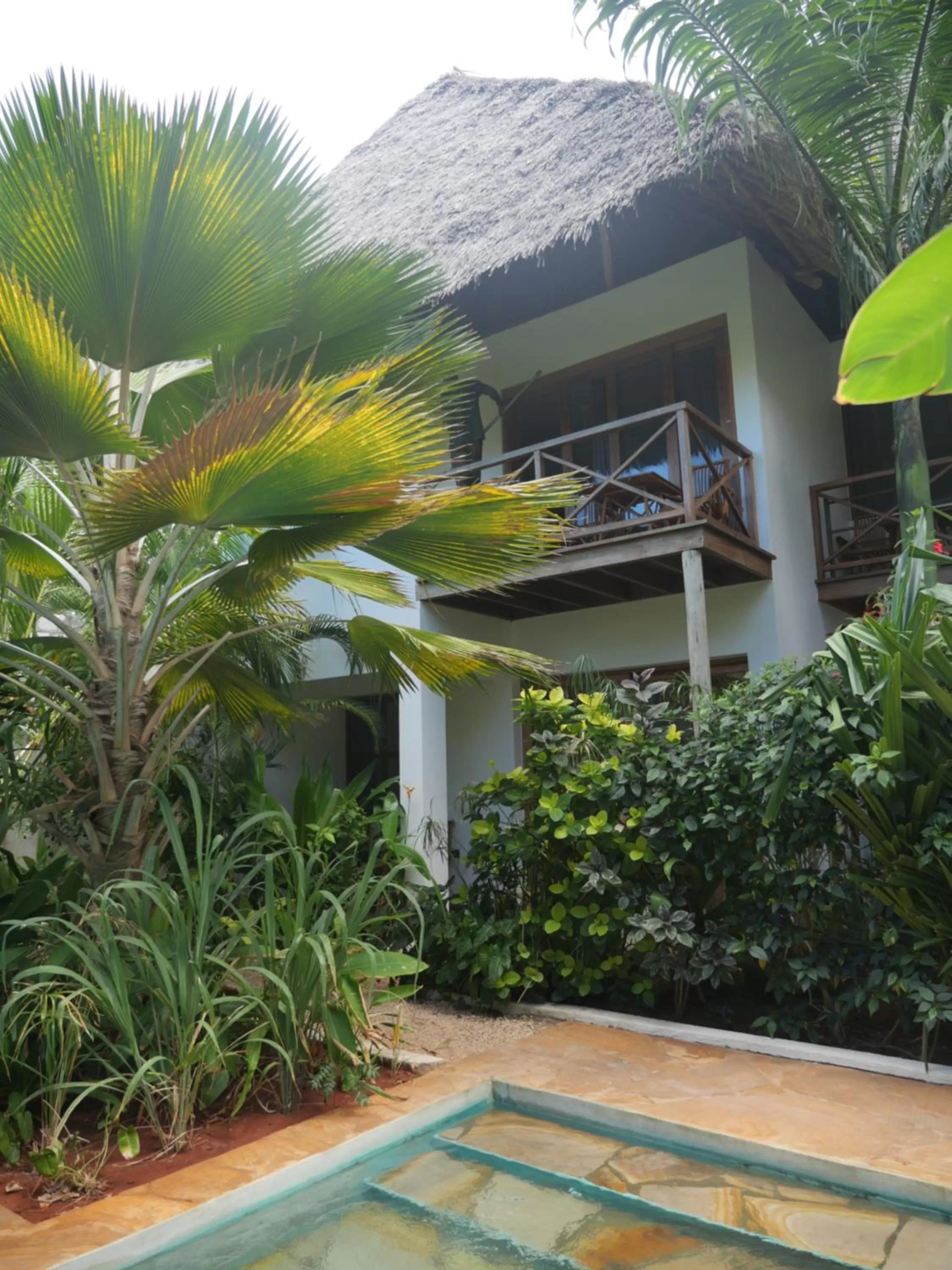 Garden, Property Building in Aluna Nungwi