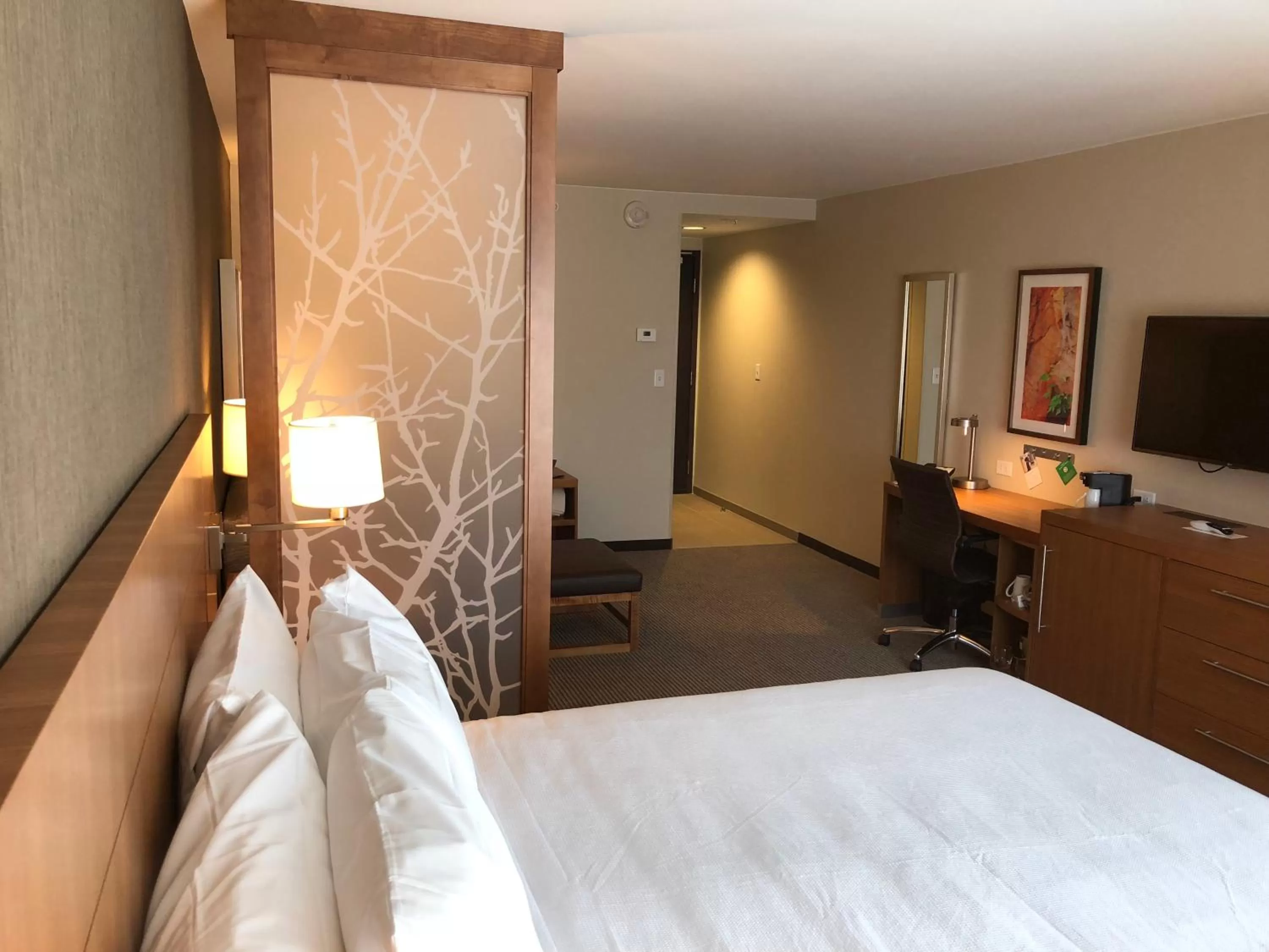 King Room with Roll-In Shower - Disability Access in Hyatt Place St George/Convention Center