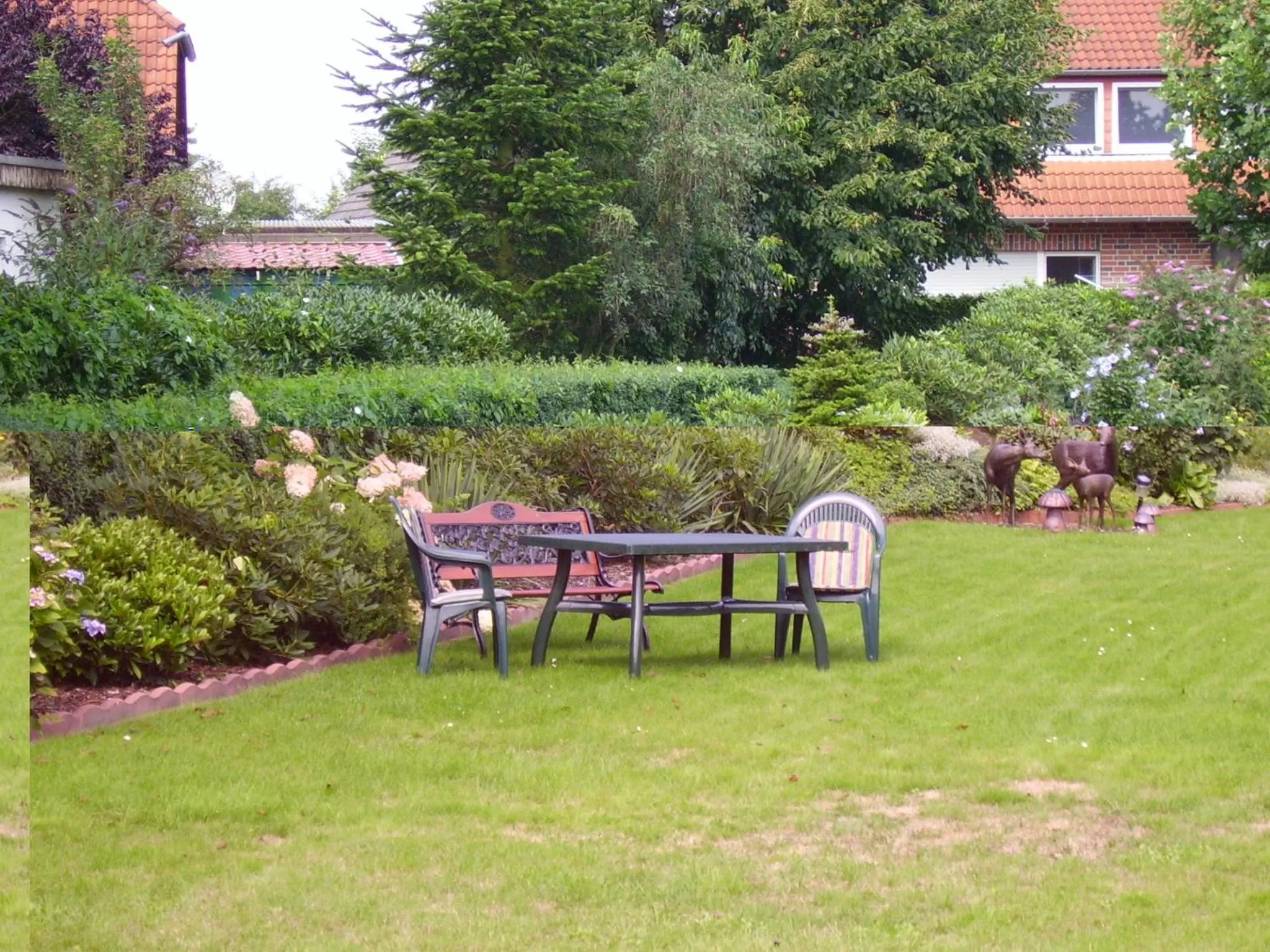 Garden in Hotel Waldquelle