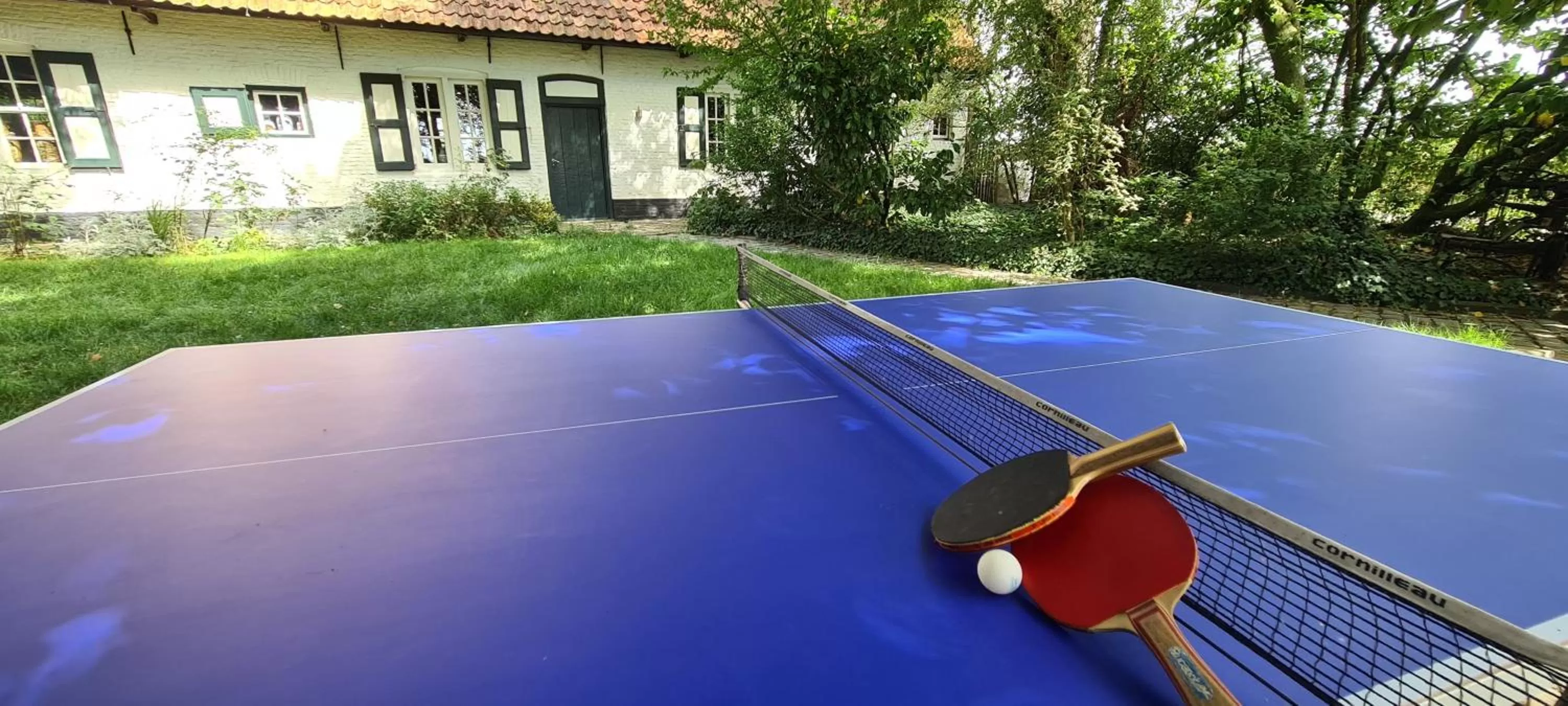 Garden, Table Tennis in Hotel Landhuis 't Wilgenerf