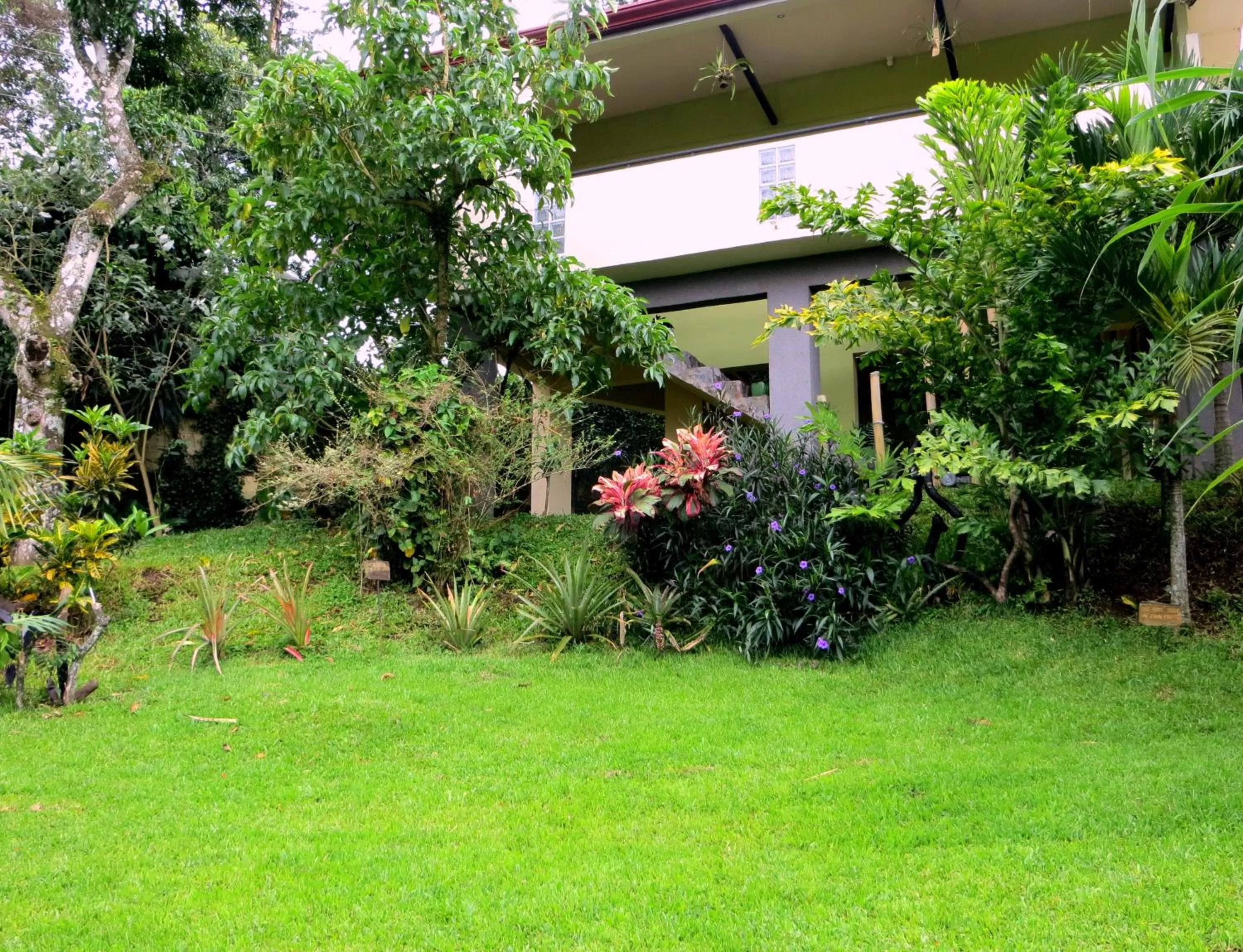 Garden in Pura Vida Hotel
