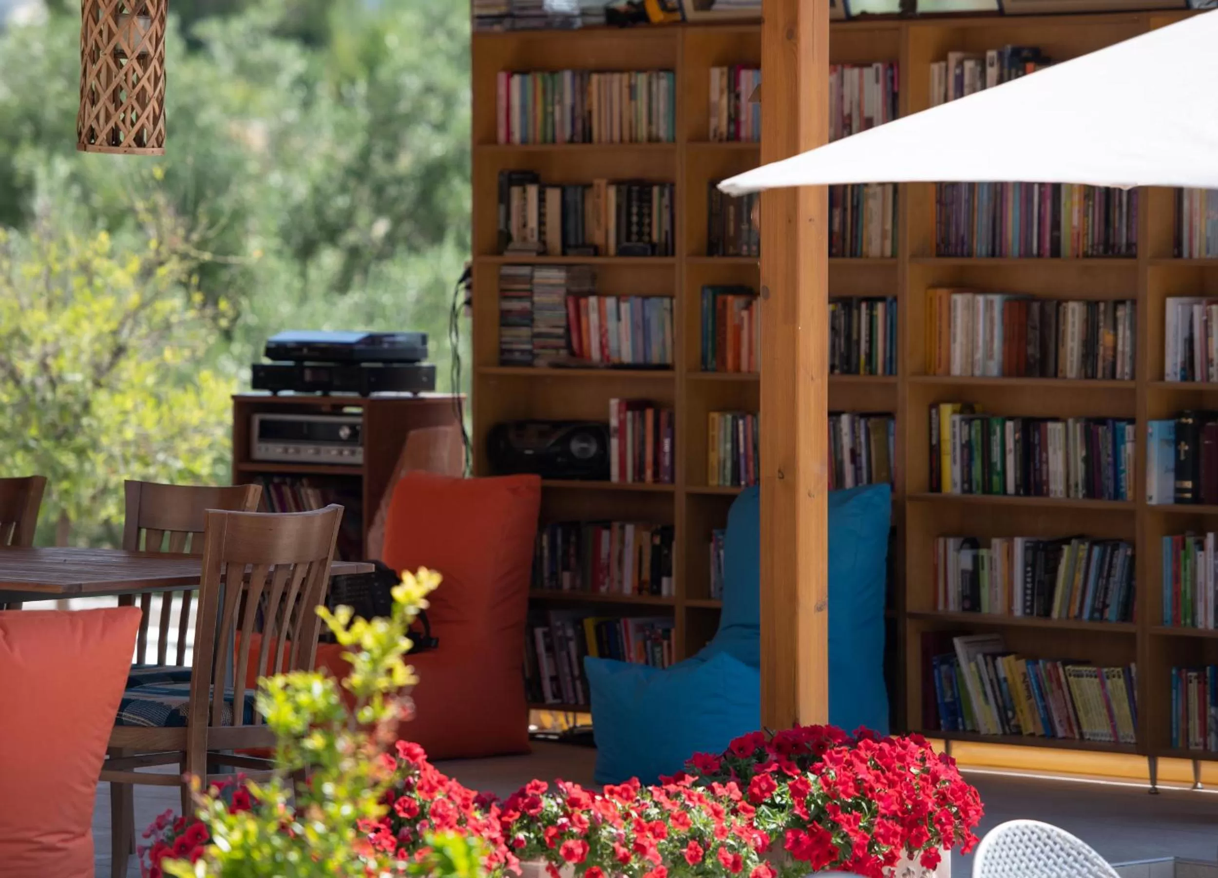 Library in Villa Sara