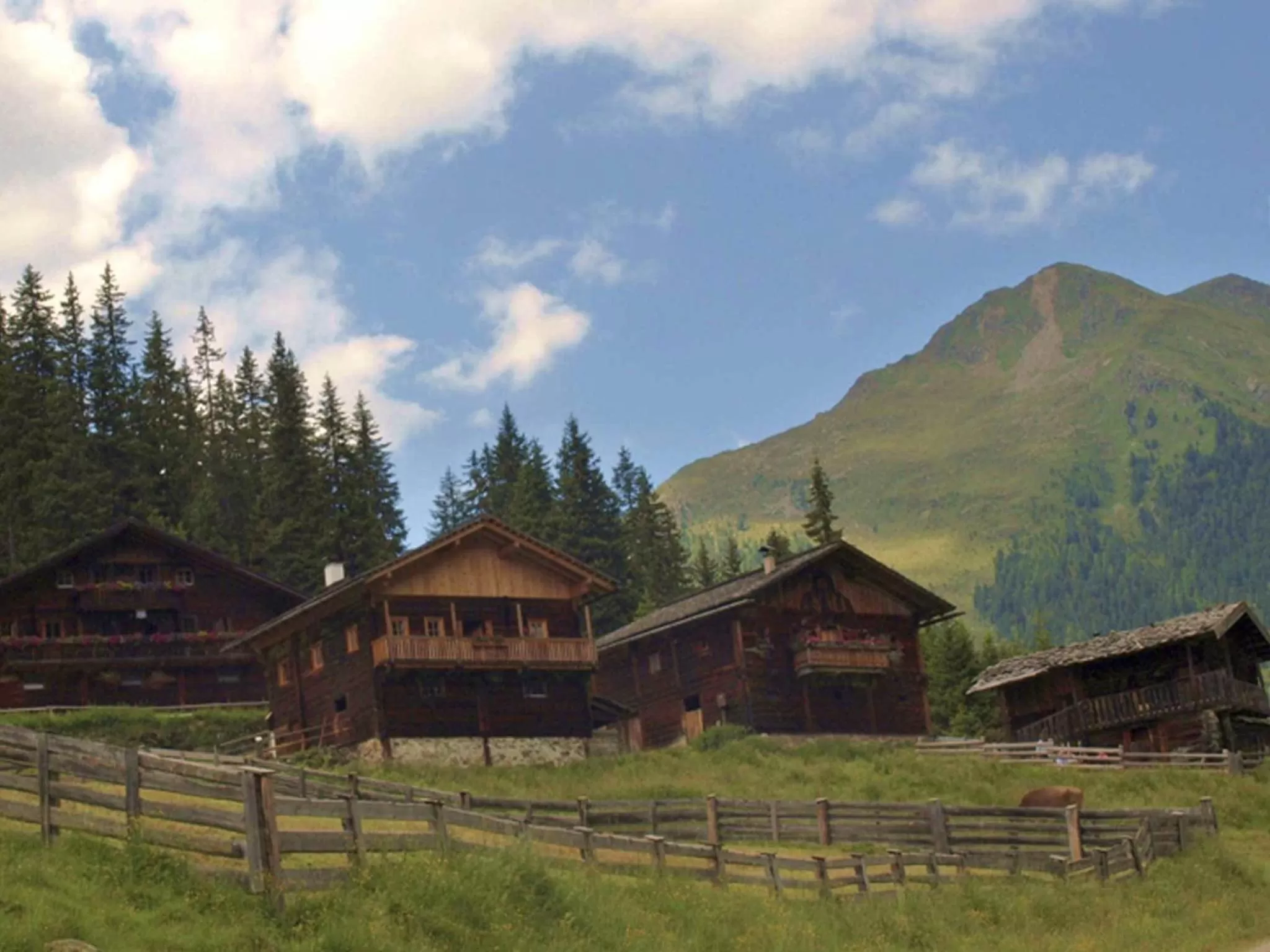 Area and facilities in Bio Aparthotel Blaslahof