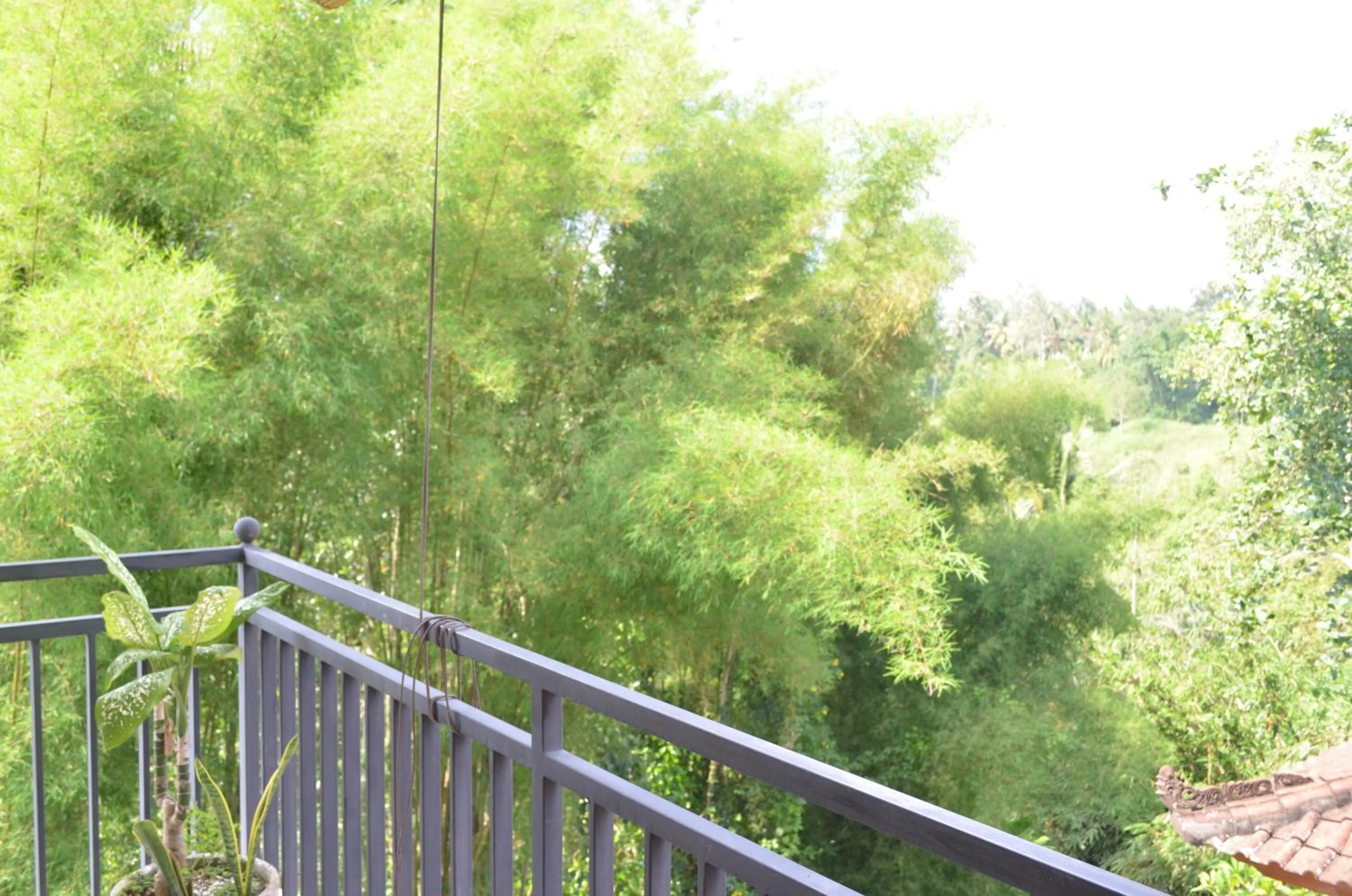 View (from property/room) in Wijaya Guest House Ubud