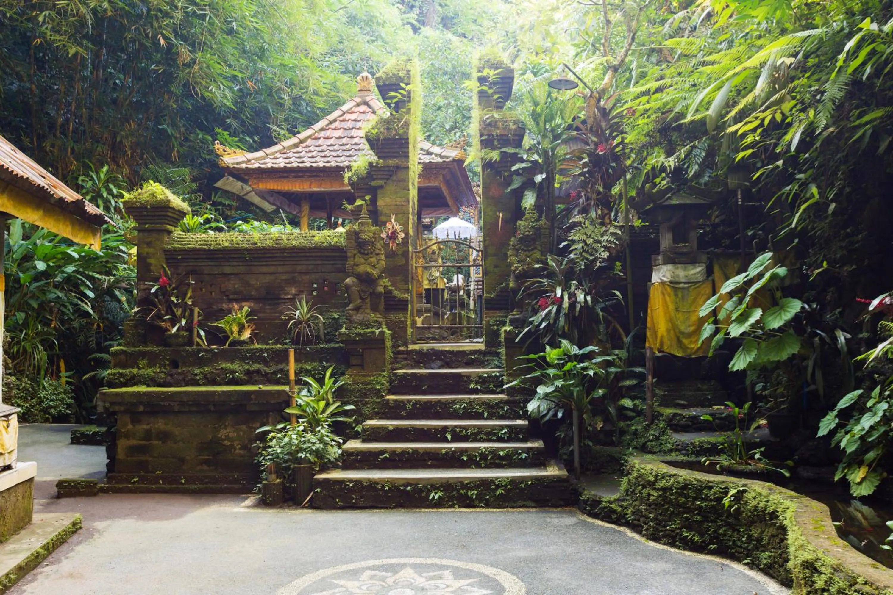 Natural landscape in The Pari Sudha