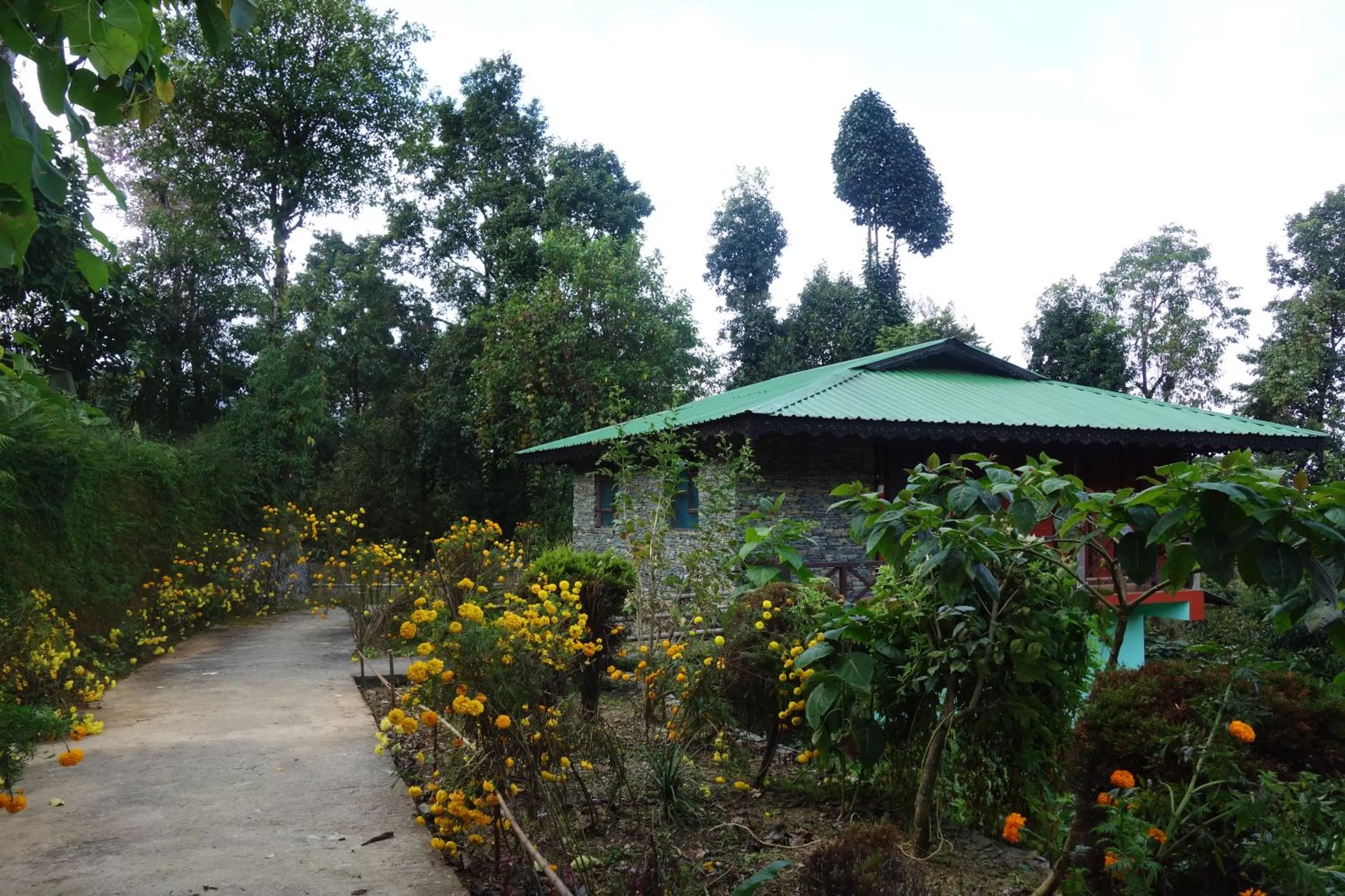Property Building in The Barfung Retreat