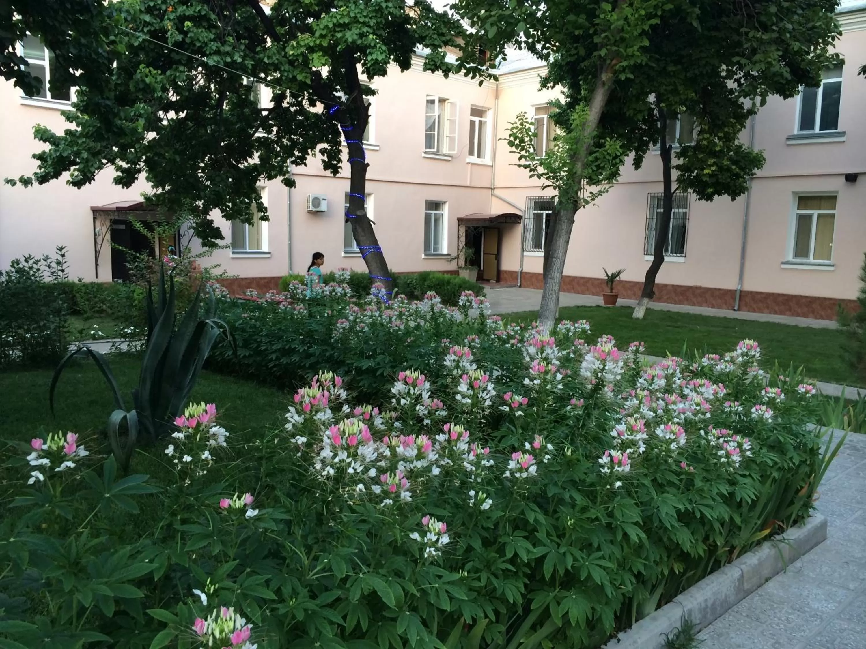 Property building, Garden in Armon Apart Hotel