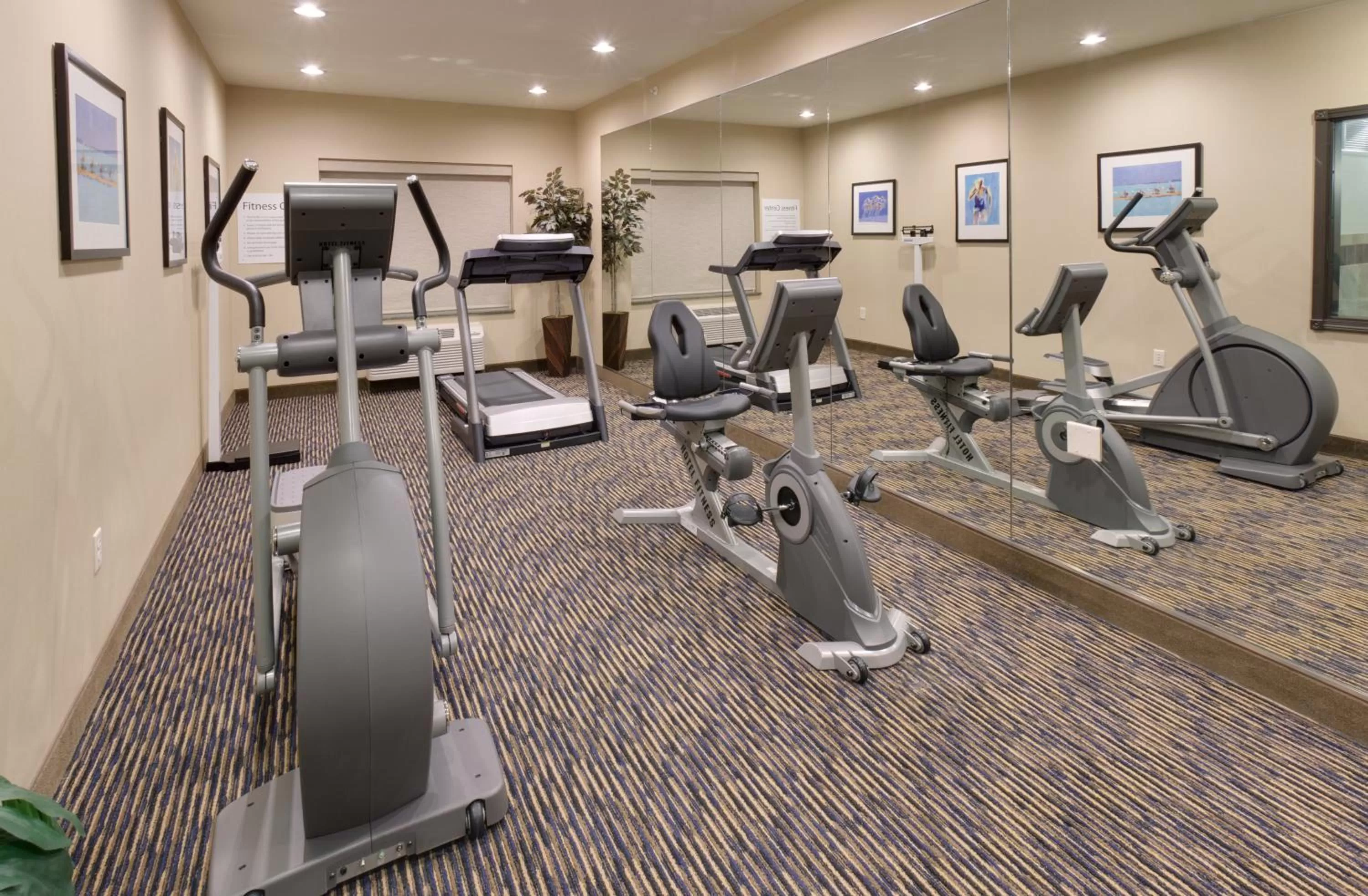 Fitness centre/facilities in Holiday Inn Express & Suites - Omaha I - 80 by IHG