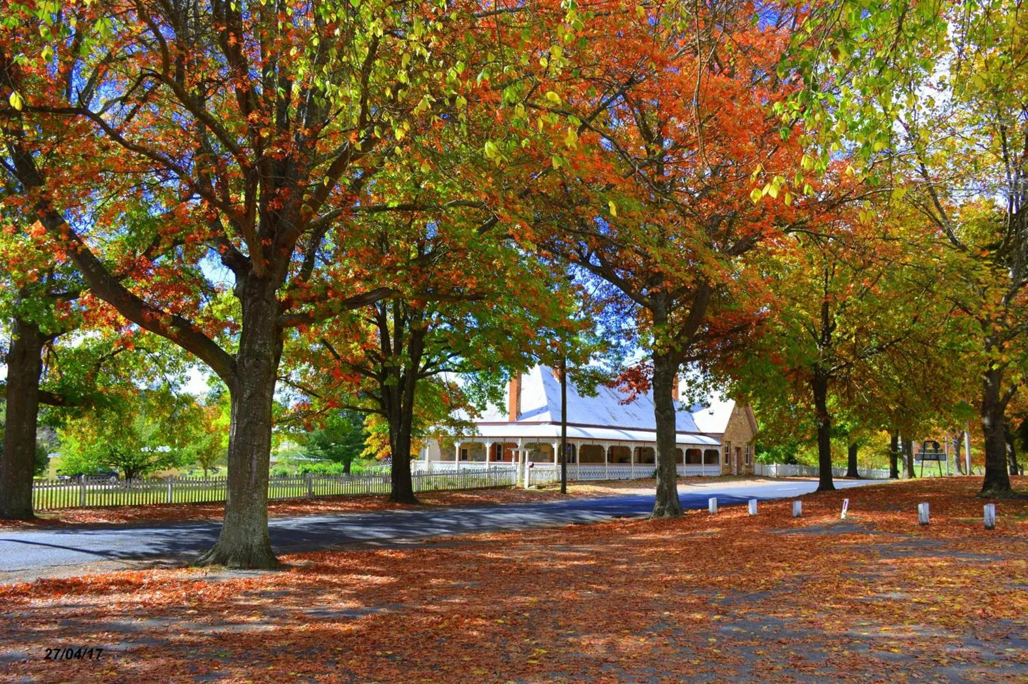 Autumn in Settlers Motor Inn