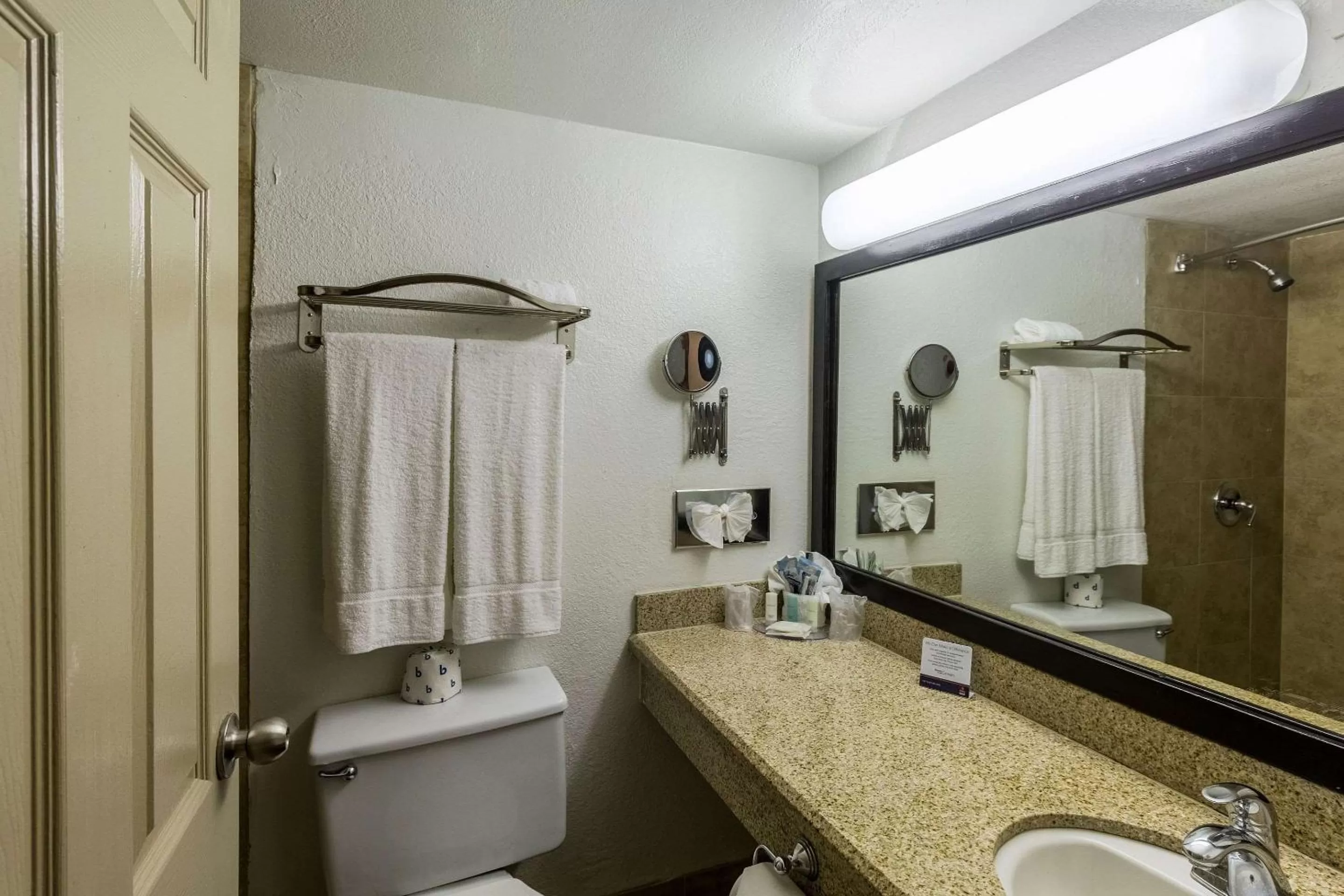 Bathroom in Clarion Inn near McAllen Airport