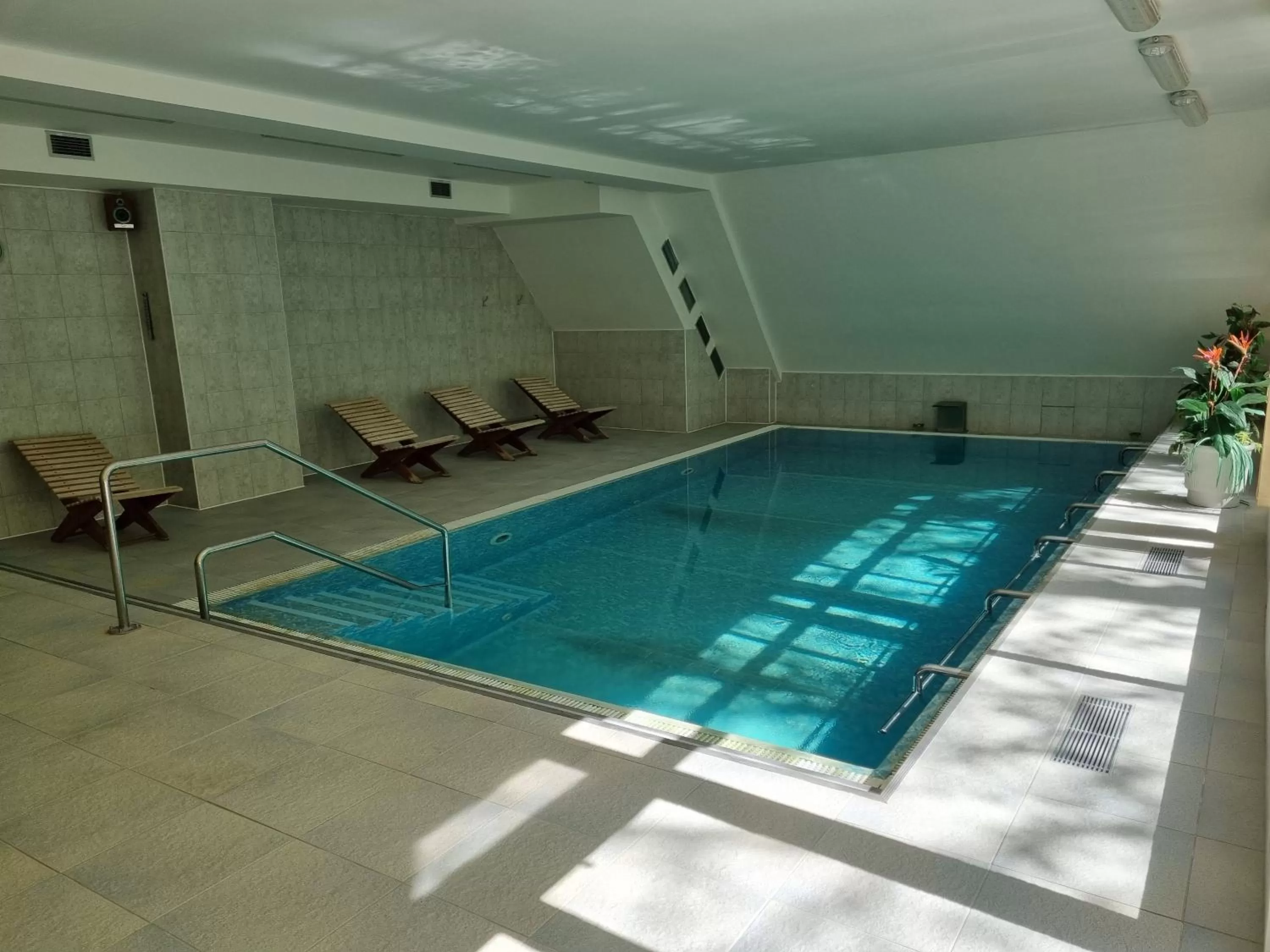 Swimming pool in Wellness hotel Harrachovka