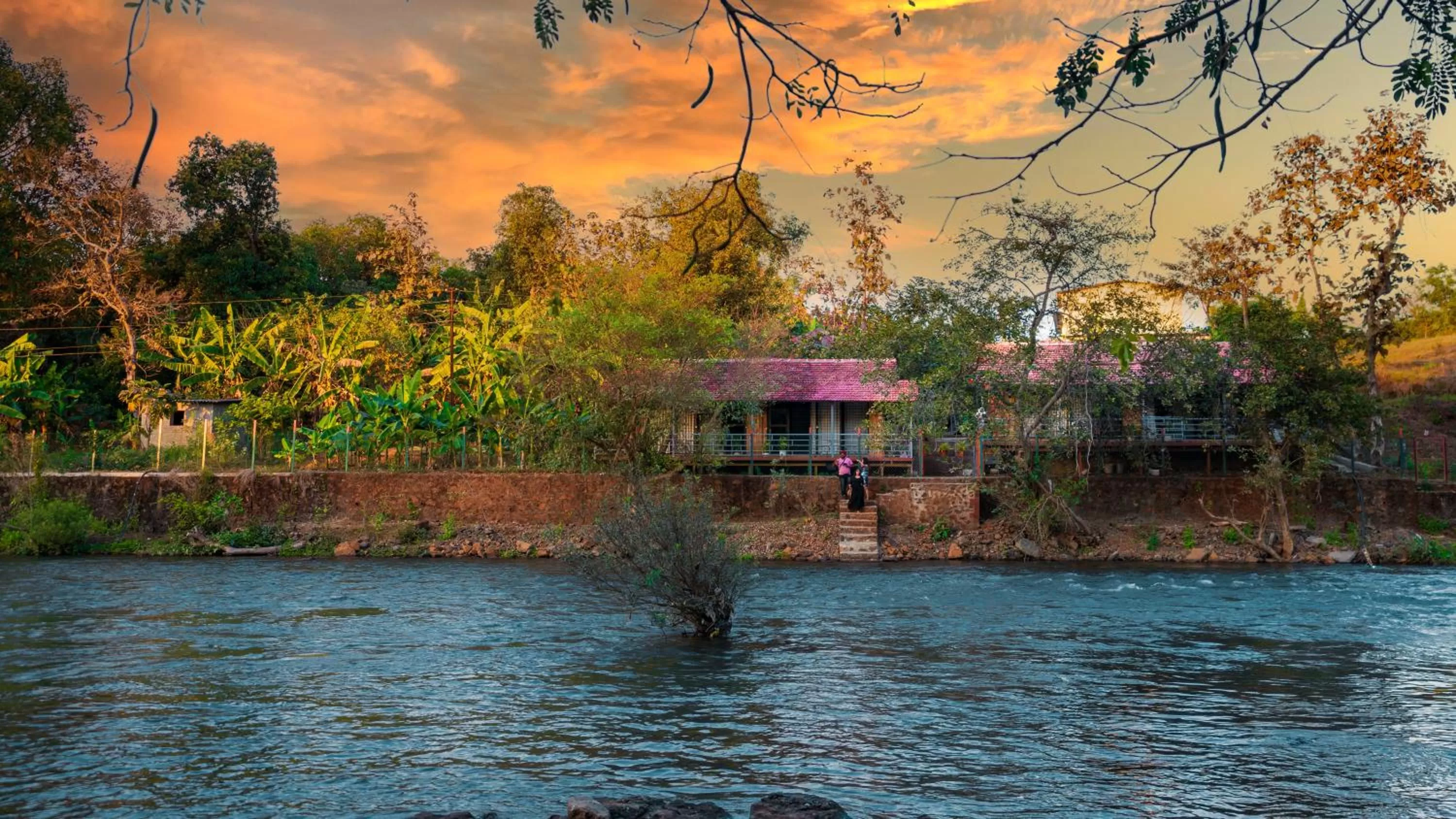 Natural landscape in Saveda Farm & Cottages