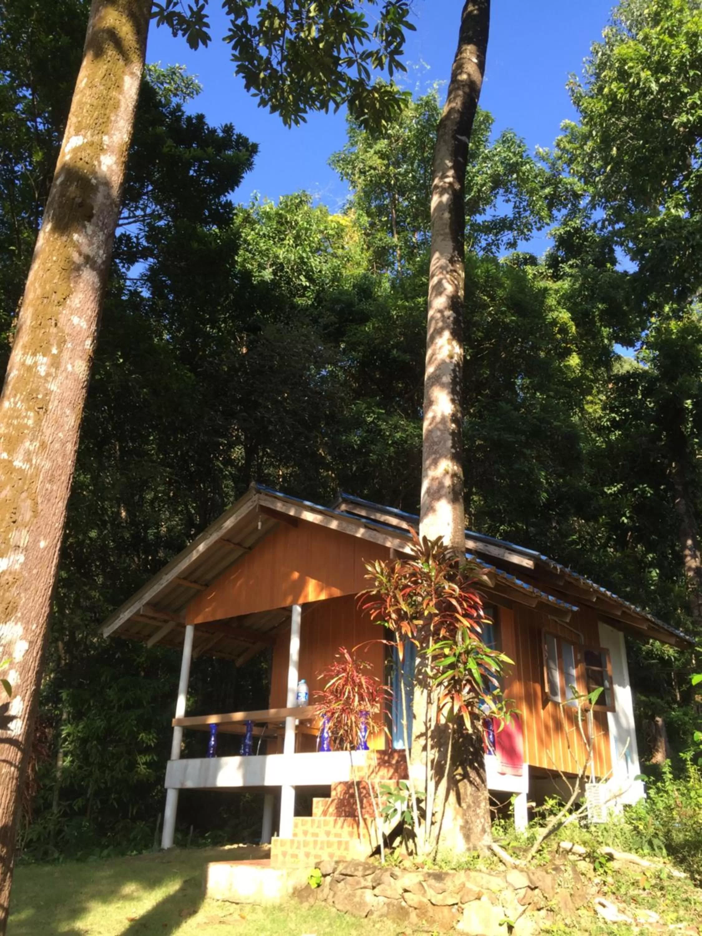 Garden view, Property Building in Elephant & Castle
