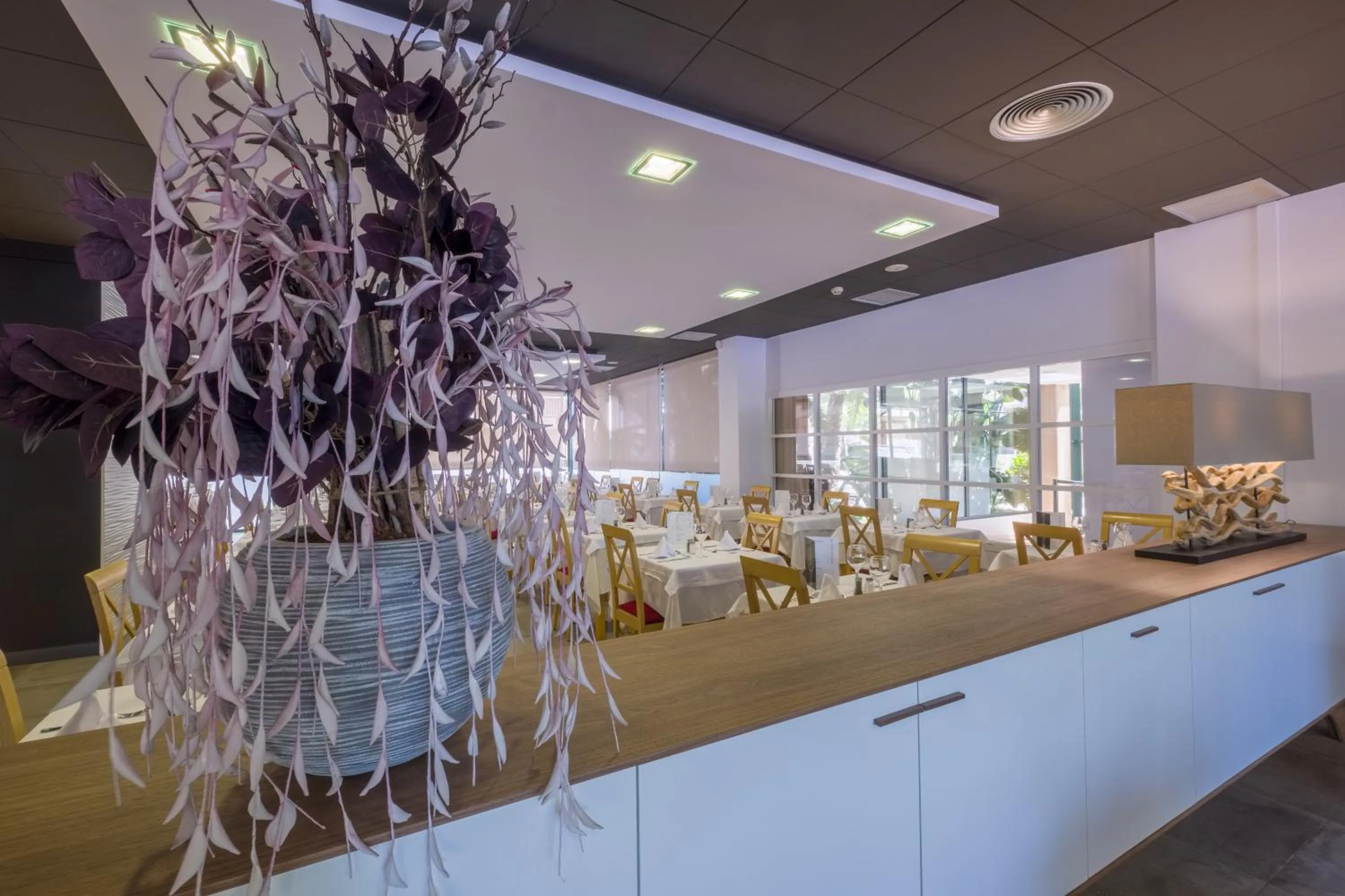 Restaurant/places to eat in Hotel California Palace