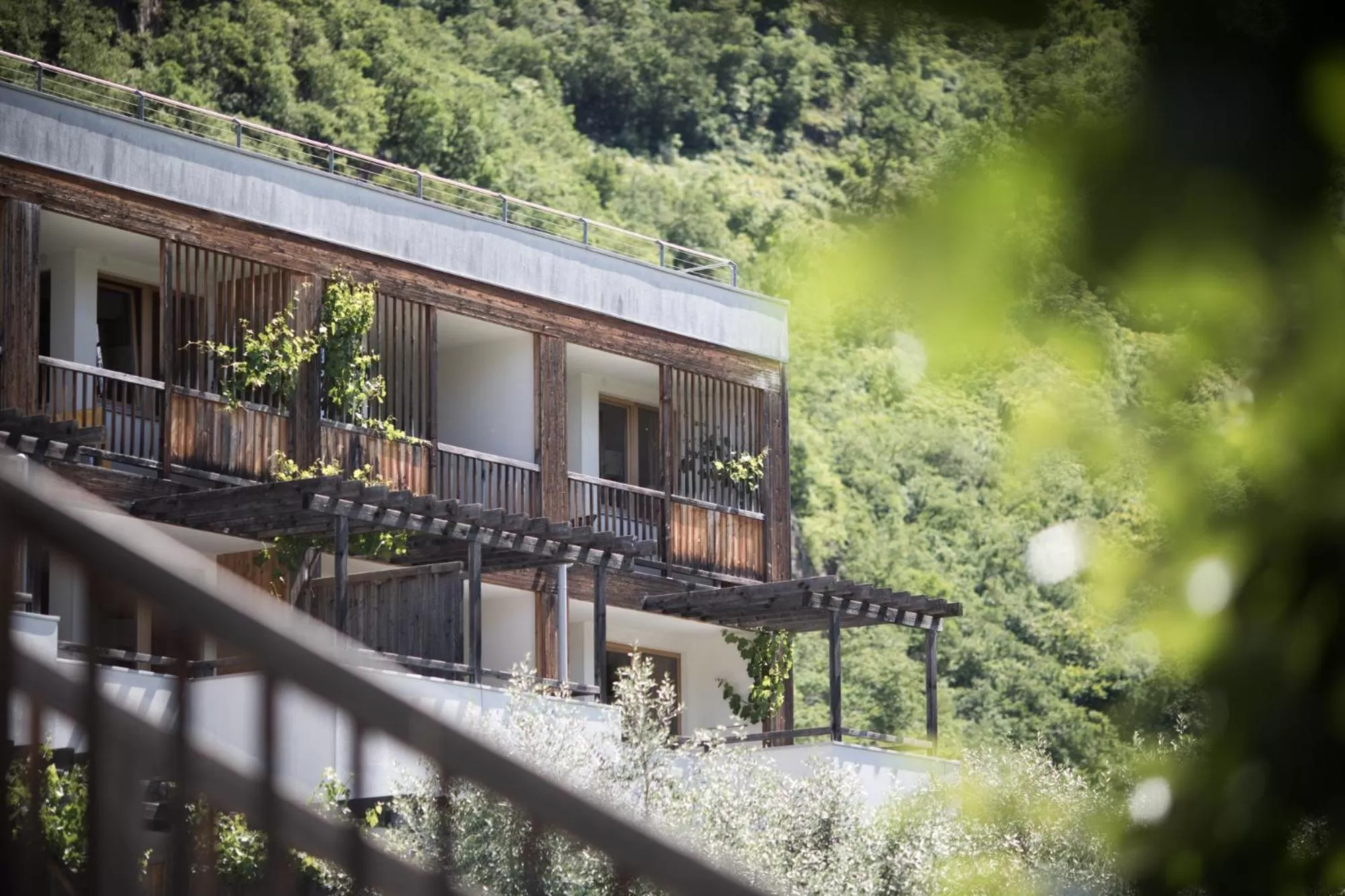 Property building in Biohotel theiner's garten